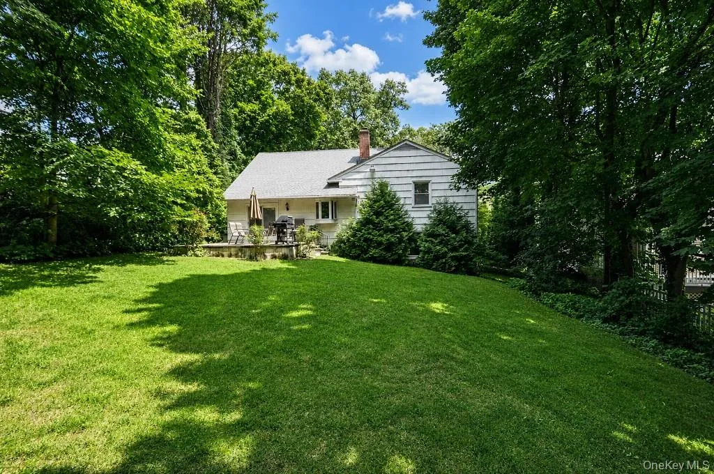 Large Backyard Large Backyard