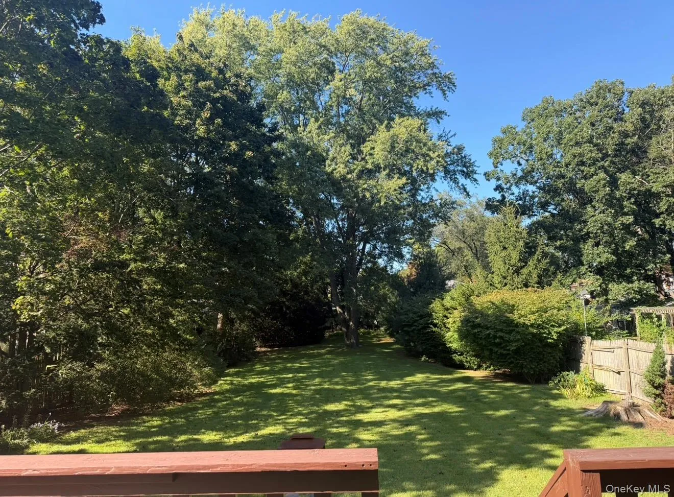 Backyard View Backyard View