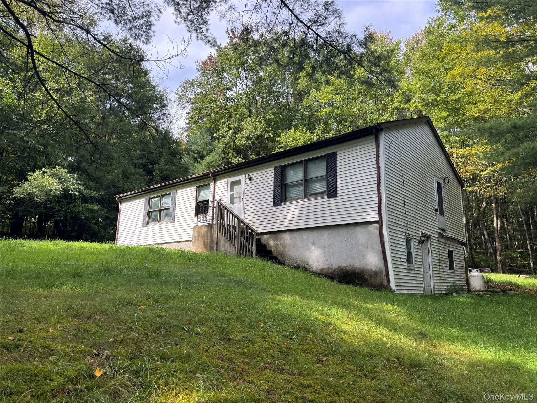 155 Blanchard Road, Bethel, NY, 3 Bedrooms Bedrooms, 9 Rooms Rooms,2 BathroomsBathrooms,Residential,For Rent,Blanchard,0,1052958 155 Blanchard Road, Bethel, NY, 3 Bedrooms Bedrooms, 9 Rooms Rooms,2 BathroomsBathrooms,Residential,For Rent,Blanchard,0,1052958
