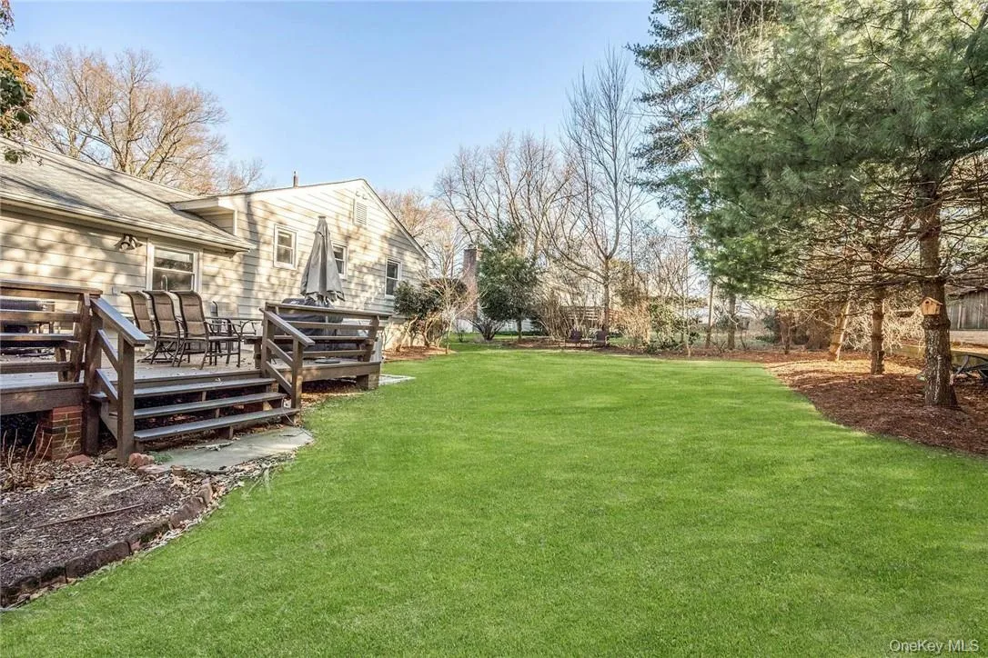 Backyard Backyard