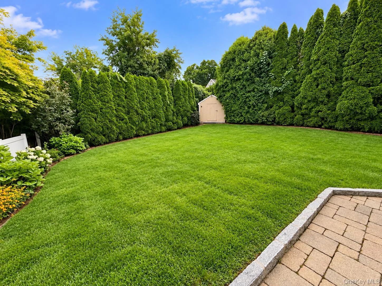 Expansive lawn area with a perimeter of mature evergreen trees Expansive lawn area with a perimeter of mature evergreen trees