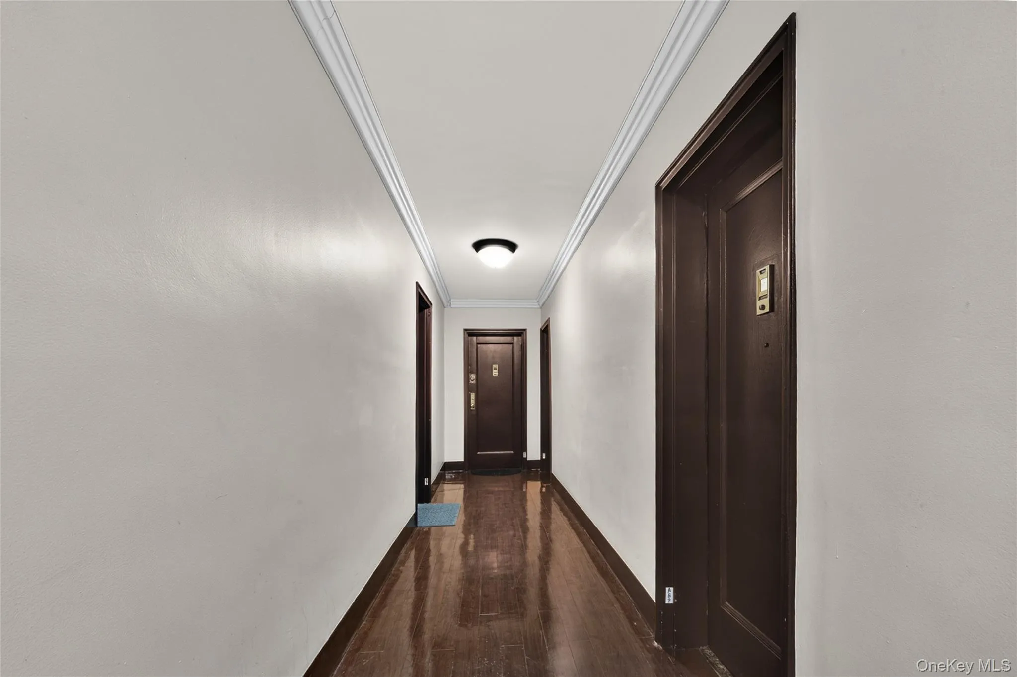87-19 204th street, New York, NY, 1 Bedroom Bedrooms, 3 Rooms Rooms,1 BathroomBathrooms,Residential,For Rent,204th street,0,1053008 87-19 204th street, New York, NY, 1 Bedroom Bedrooms, 3 Rooms Rooms,1 BathroomBathrooms,Residential,For Rent,204th street,0,1053008