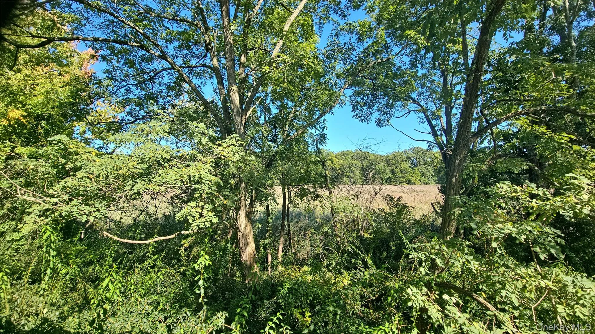 6 Glen Court, Clarkstown, NY, 4 Bedrooms Bedrooms, 9 Rooms Rooms,2 BathroomsBathrooms,Residential,For Rent,Glen,0,1053015 6 Glen Court, Clarkstown, NY, 4 Bedrooms Bedrooms, 9 Rooms Rooms,2 BathroomsBathrooms,Residential,For Rent,Glen,0,1053015