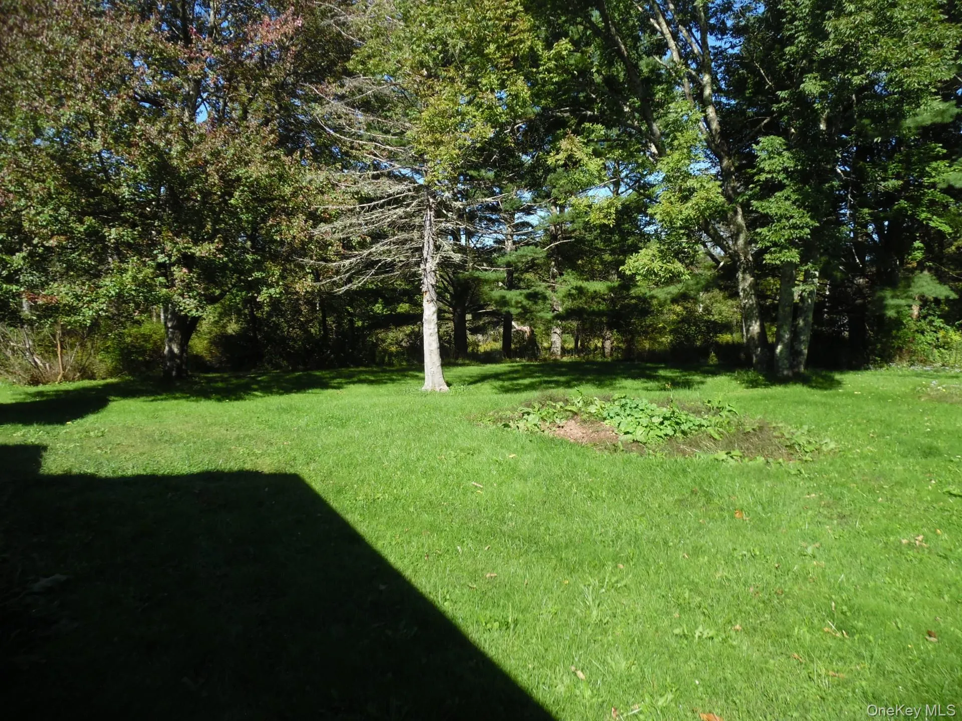 30 Tonjes Road, Callicoon, NY, 1 Bedroom Bedrooms, 3 Room Rooms,1 BathroomBathrooms,Residential Lease,For Rent,Tonjes,0,1053028 30 Tonjes Road, Callicoon, NY, 1 Bedroom Bedrooms, 3 Room Rooms,1 BathroomBathrooms,Residential Lease,For Rent,Tonjes,0,1053028