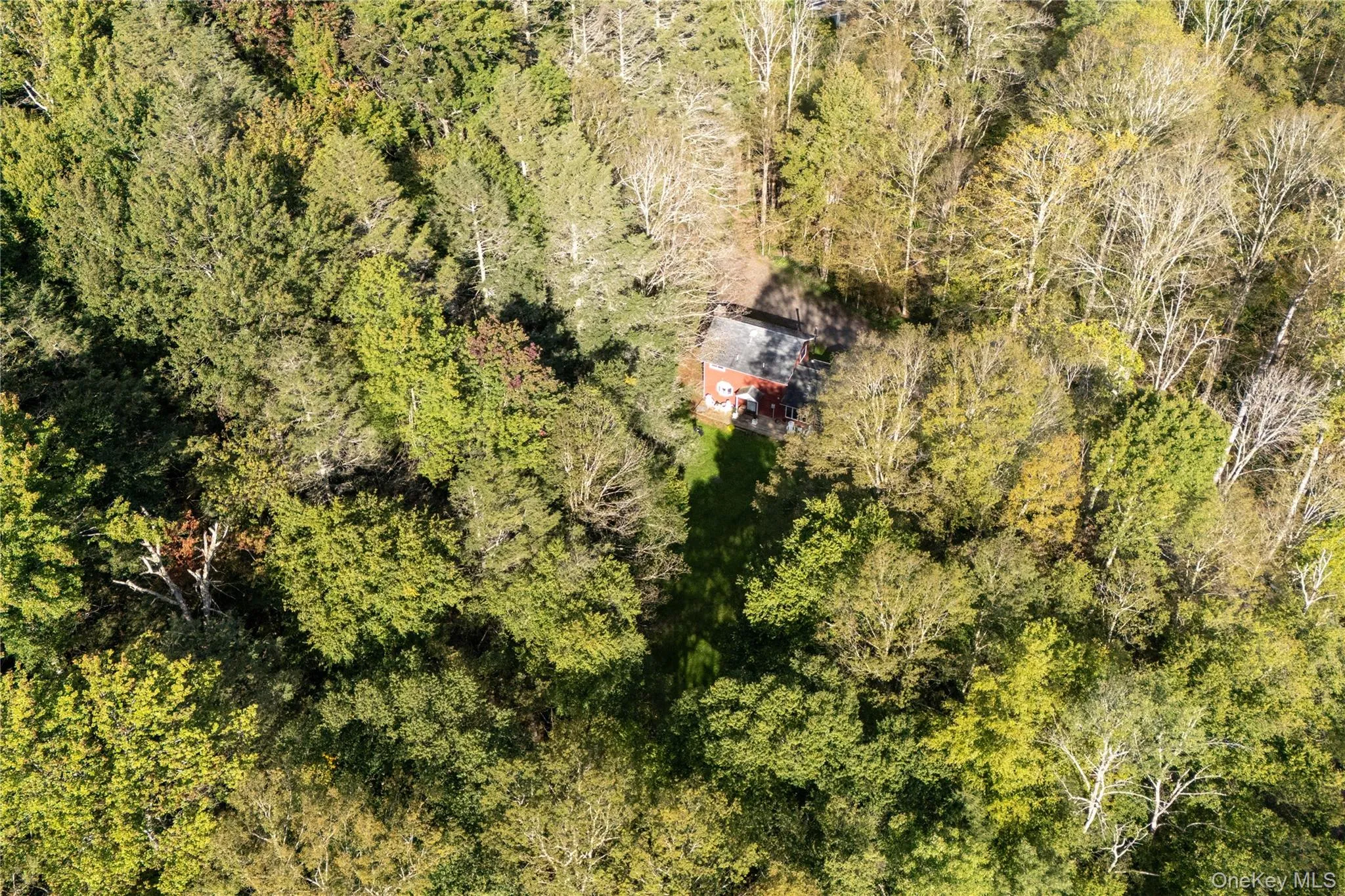 123 Maben Hollow Road, Shandaken, NY, 3 Bedrooms Bedrooms, 8 Rooms Rooms,2 BathroomsBathrooms,Residential,For Rent,Maben Hollow,0,1053030 123 Maben Hollow Road, Shandaken, NY, 3 Bedrooms Bedrooms, 8 Rooms Rooms,2 BathroomsBathrooms,Residential,For Rent,Maben Hollow,0,1053030