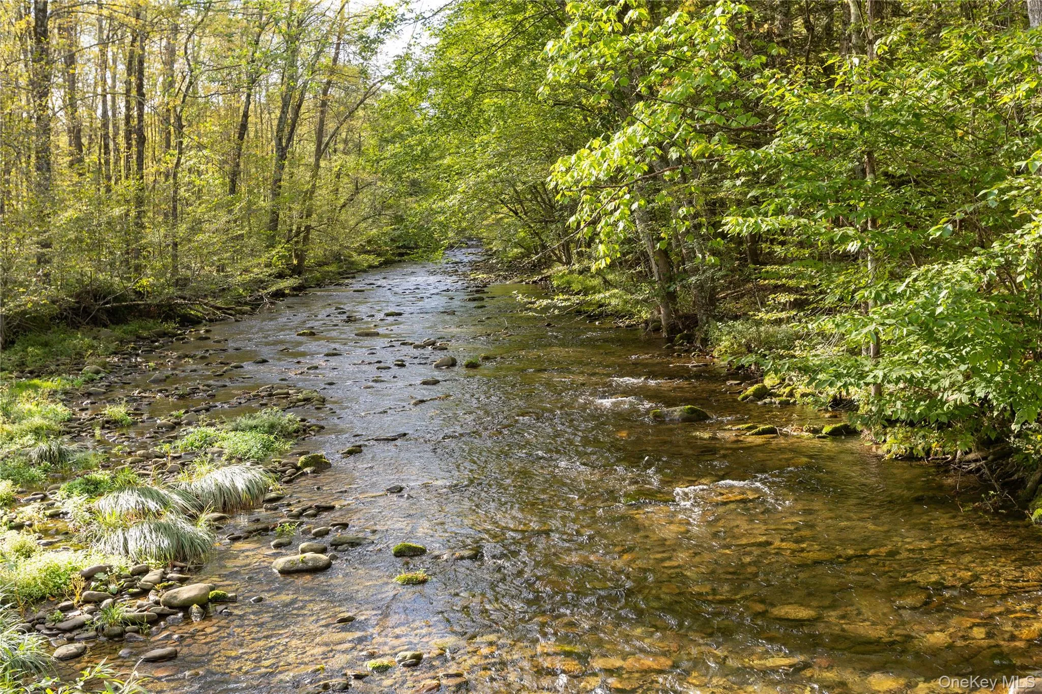 123 Maben Hollow Road, Shandaken, NY, 3 Bedrooms Bedrooms, 8 Rooms Rooms,2 BathroomsBathrooms,Residential,For Rent,Maben Hollow,0,1053030 123 Maben Hollow Road, Shandaken, NY, 3 Bedrooms Bedrooms, 8 Rooms Rooms,2 BathroomsBathrooms,Residential,For Rent,Maben Hollow,0,1053030