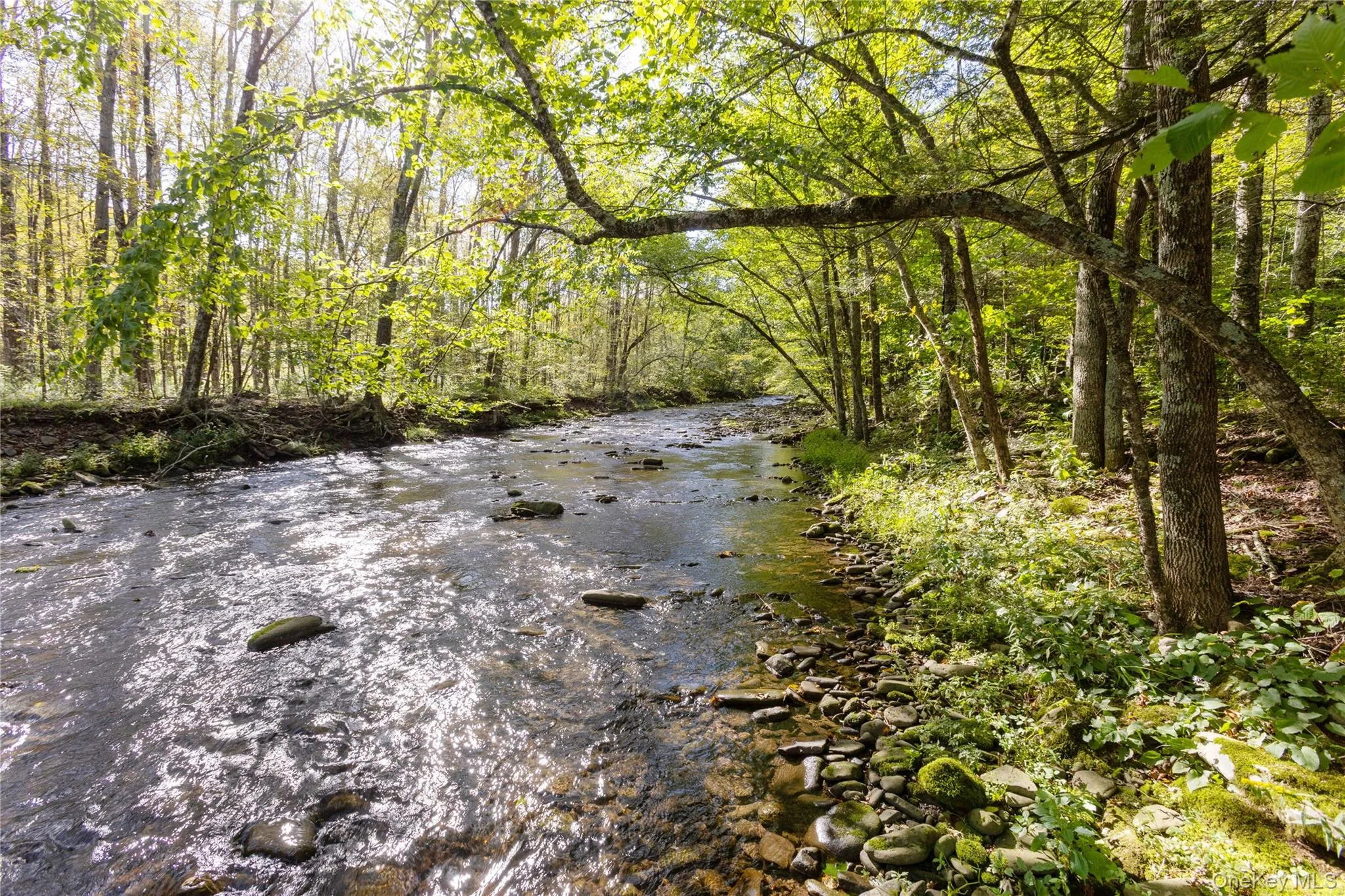 123 Maben Hollow Road, Shandaken, NY, 3 Bedrooms Bedrooms, 8 Rooms Rooms,2 BathroomsBathrooms,Residential,For Rent,Maben Hollow,0,1053030 123 Maben Hollow Road, Shandaken, NY, 3 Bedrooms Bedrooms, 8 Rooms Rooms,2 BathroomsBathrooms,Residential,For Rent,Maben Hollow,0,1053030