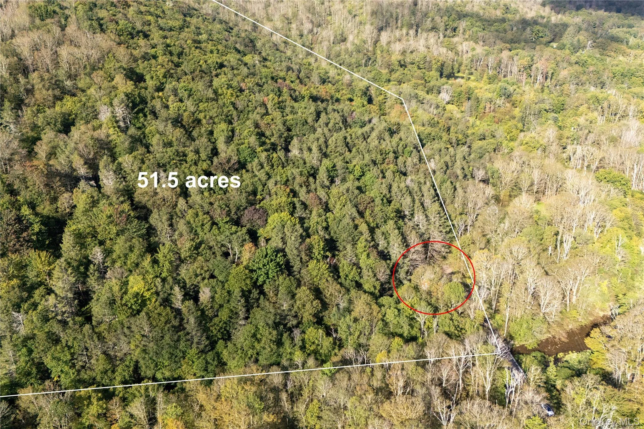 123 Maben Hollow Road, Shandaken, NY, 3 Bedrooms Bedrooms, 8 Rooms Rooms,2 BathroomsBathrooms,Residential,For Rent,Maben Hollow,0,1053030 123 Maben Hollow Road, Shandaken, NY, 3 Bedrooms Bedrooms, 8 Rooms Rooms,2 BathroomsBathrooms,Residential,For Rent,Maben Hollow,0,1053030