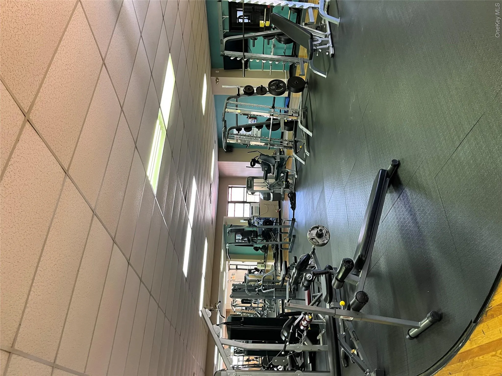 171 Pearsall Drive, Mount Vernon, NY, 1 Bedroom Bedrooms, 3 Rooms Rooms,1 BathroomBathrooms,Residential,For Rent,Pearsall,0,1053038 171 Pearsall Drive, Mount Vernon, NY, 1 Bedroom Bedrooms, 3 Rooms Rooms,1 BathroomBathrooms,Residential,For Rent,Pearsall,0,1053038