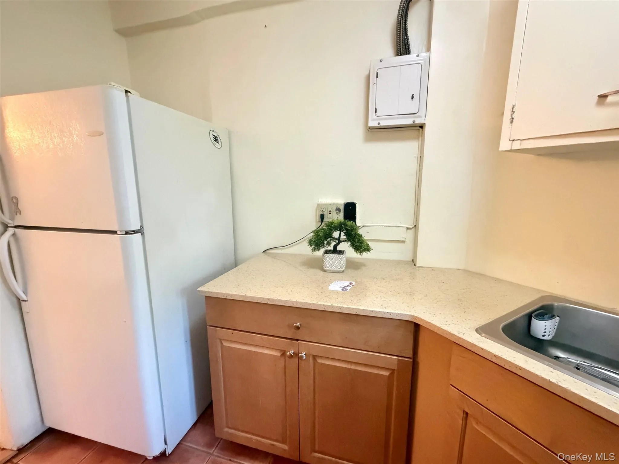 2049 Mc Graw Avenue, New York, NY, 3 Bedrooms Bedrooms, 5 Rooms Rooms,1 BathroomBathrooms,Residential,For Rent,Mc Graw,0,1053072 2049 Mc Graw Avenue, New York, NY, 3 Bedrooms Bedrooms, 5 Rooms Rooms,1 BathroomBathrooms,Residential,For Rent,Mc Graw,0,1053072