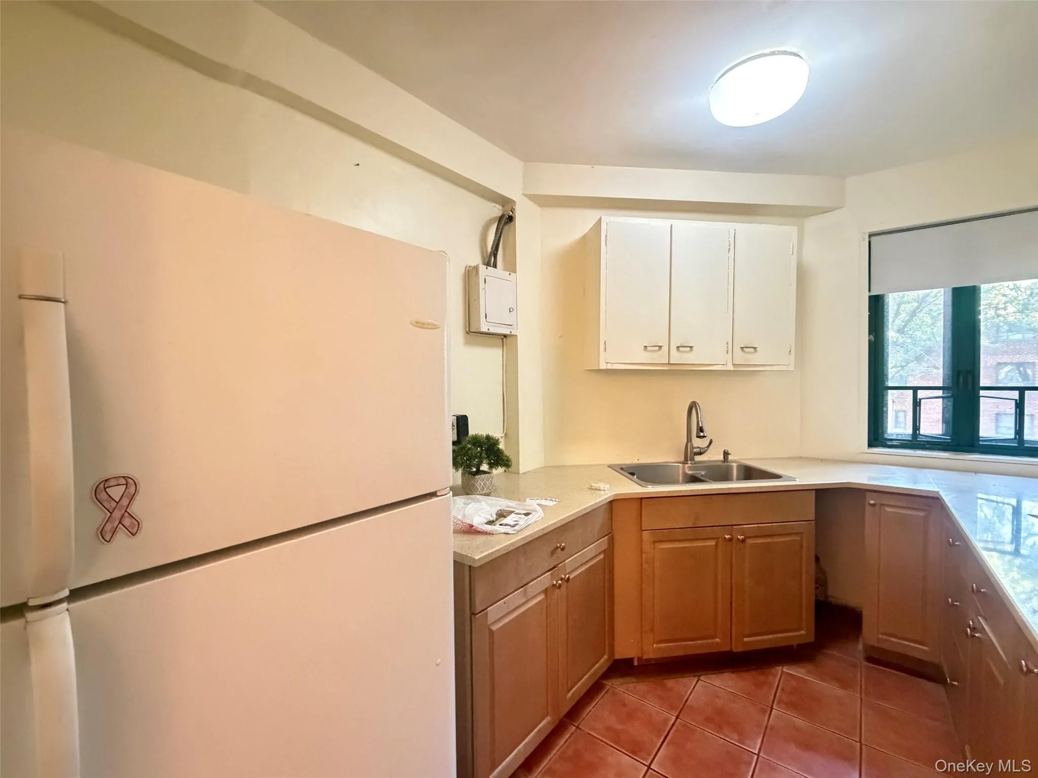 2049 Mc Graw Avenue, New York, NY, 3 Bedrooms Bedrooms, 5 Rooms Rooms,1 BathroomBathrooms,Residential,For Rent,Mc Graw,0,1053072 2049 Mc Graw Avenue, New York, NY, 3 Bedrooms Bedrooms, 5 Rooms Rooms,1 BathroomBathrooms,Residential,For Rent,Mc Graw,0,1053072