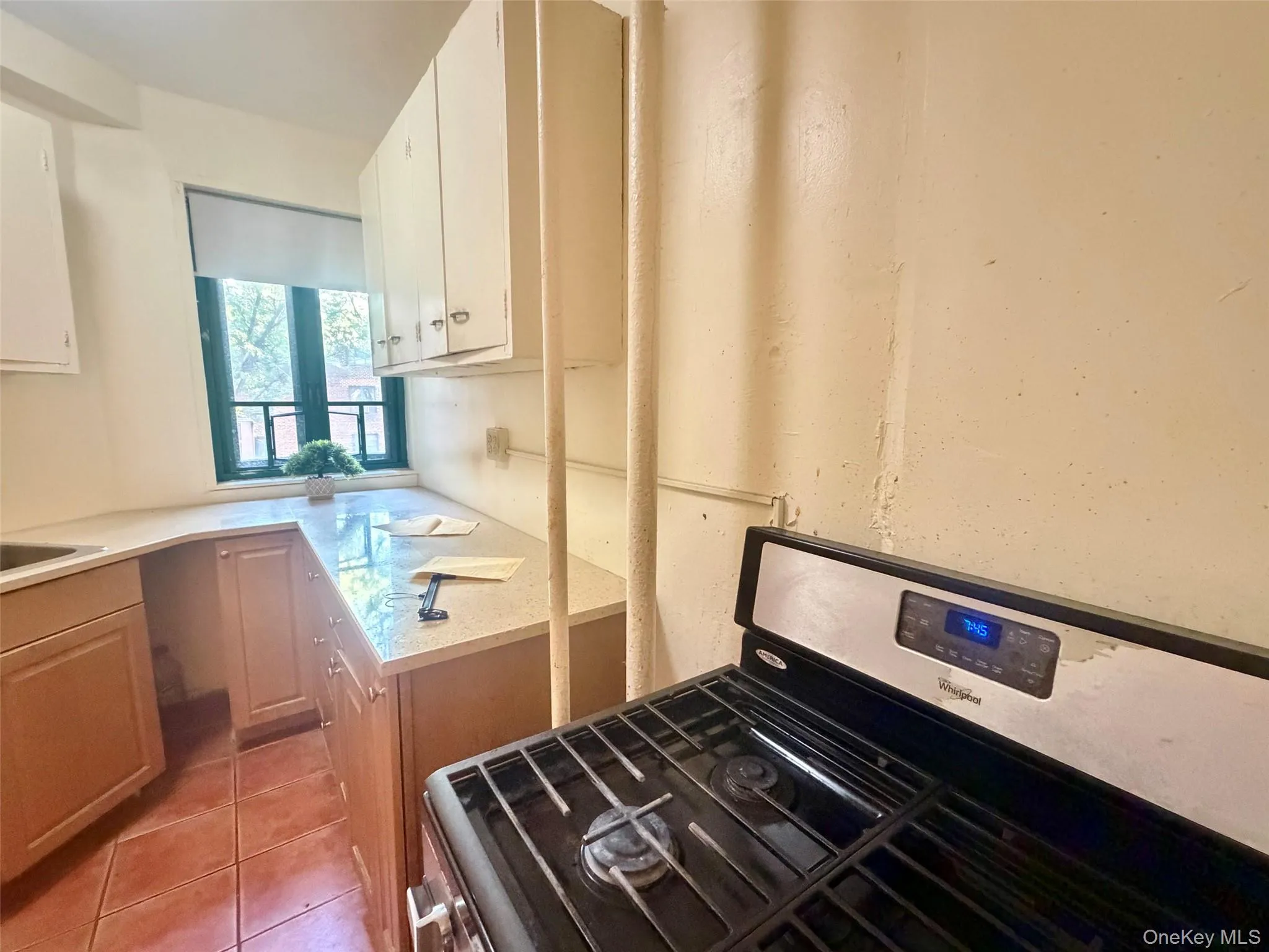 2049 Mc Graw Avenue, New York, NY, 3 Bedrooms Bedrooms, 5 Rooms Rooms,1 BathroomBathrooms,Residential,For Rent,Mc Graw,0,1053072 2049 Mc Graw Avenue, New York, NY, 3 Bedrooms Bedrooms, 5 Rooms Rooms,1 BathroomBathrooms,Residential,For Rent,Mc Graw,0,1053072