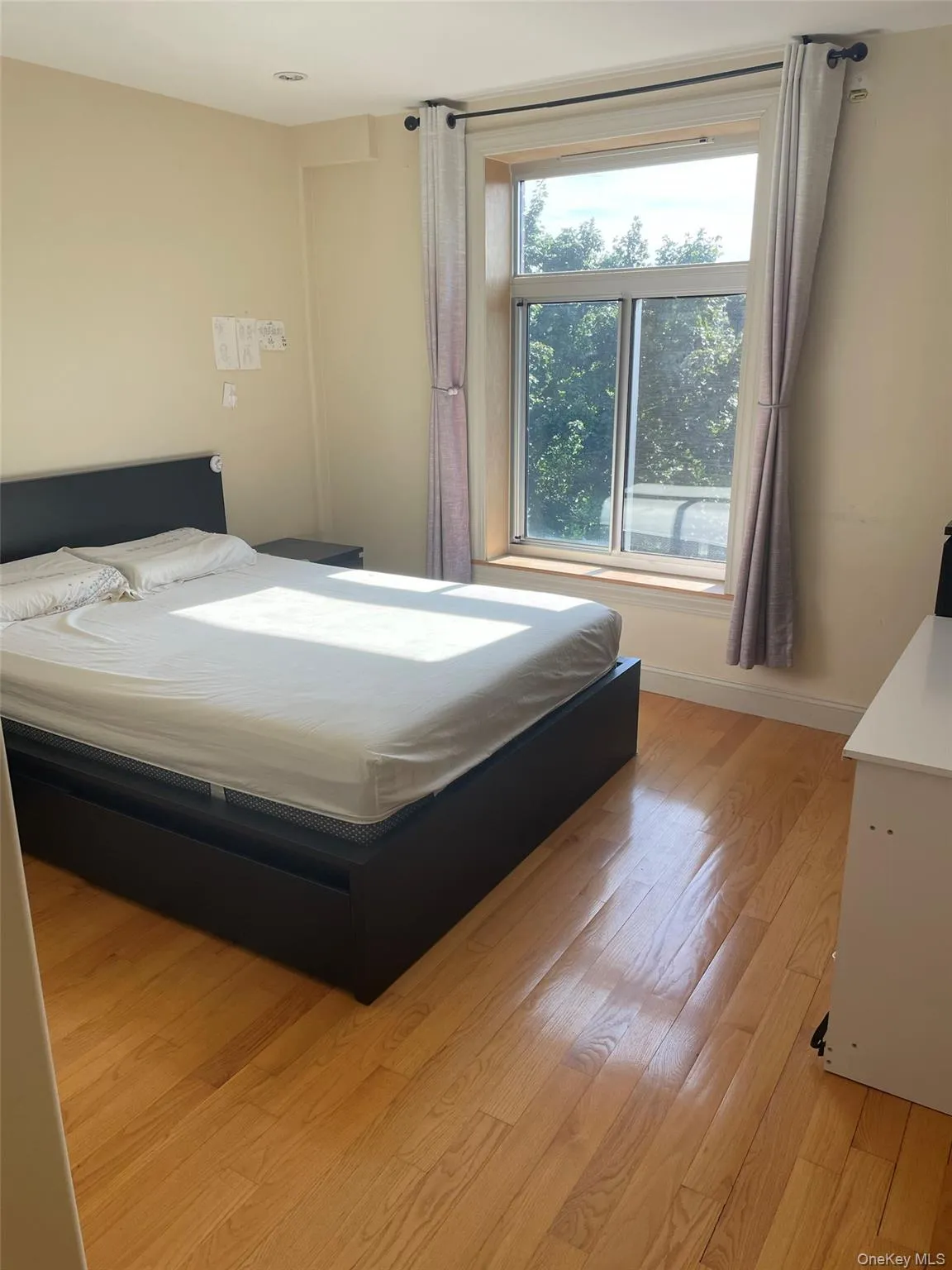 65-38 Austin Street, New York, NY, 3 Bedrooms Bedrooms, 5 Rooms Rooms,2 BathroomsBathrooms,Residential,For Rent,Austin,0,1053101 65-38 Austin Street, New York, NY, 3 Bedrooms Bedrooms, 5 Rooms Rooms,2 BathroomsBathrooms,Residential,For Rent,Austin,0,1053101