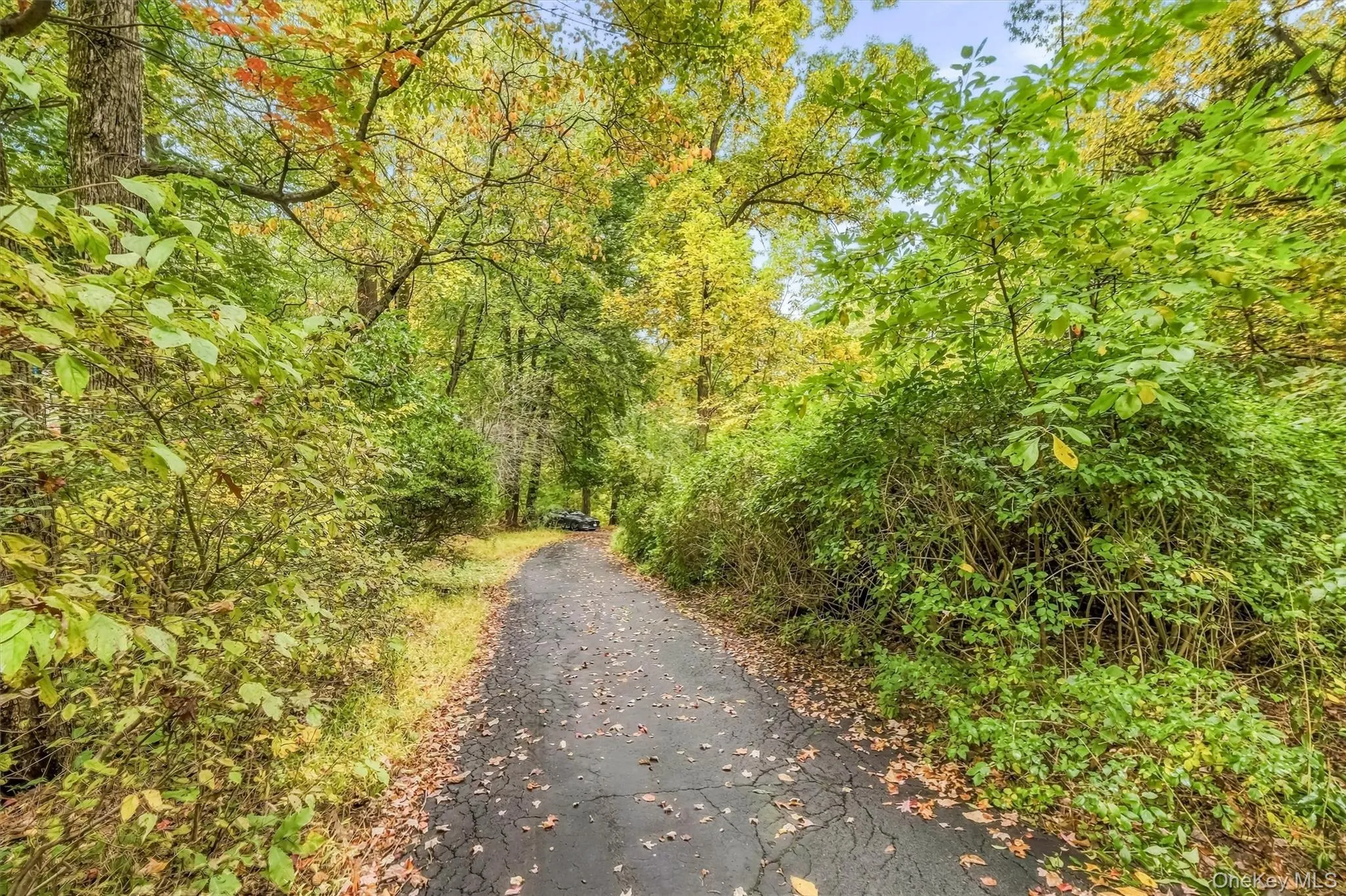 Magical and private setting as you approach the home. Magical and private setting as you approach the home.