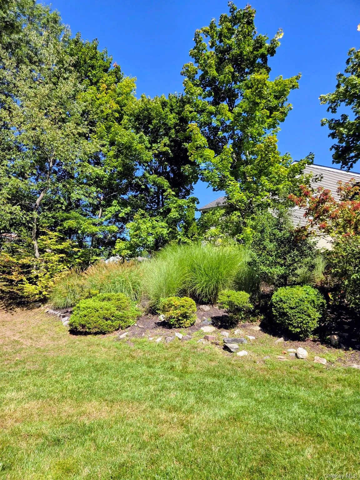 View of yard with perennial grasses on the hill View of yard with perennial grasses on the hill