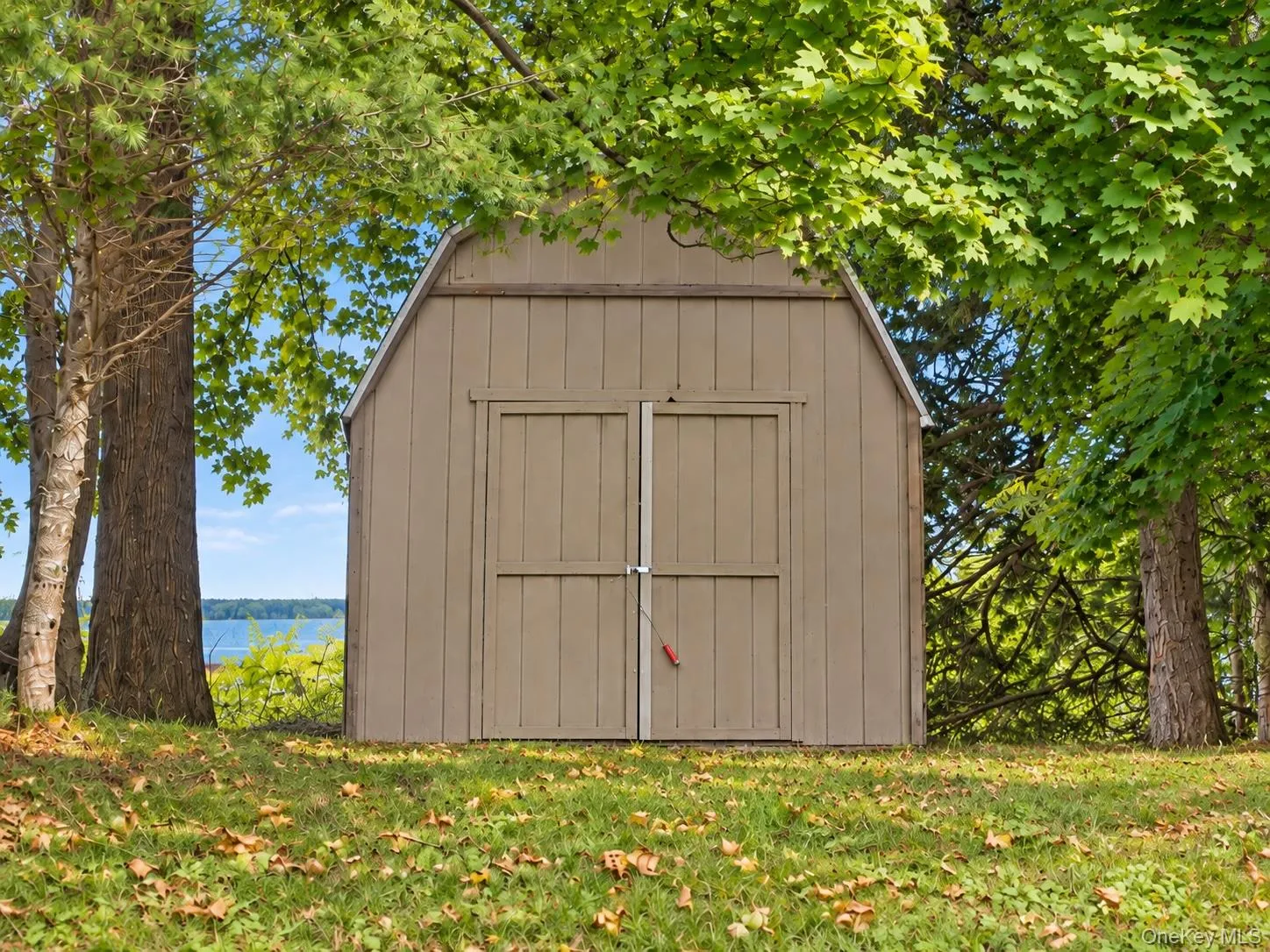 Shed Shed
