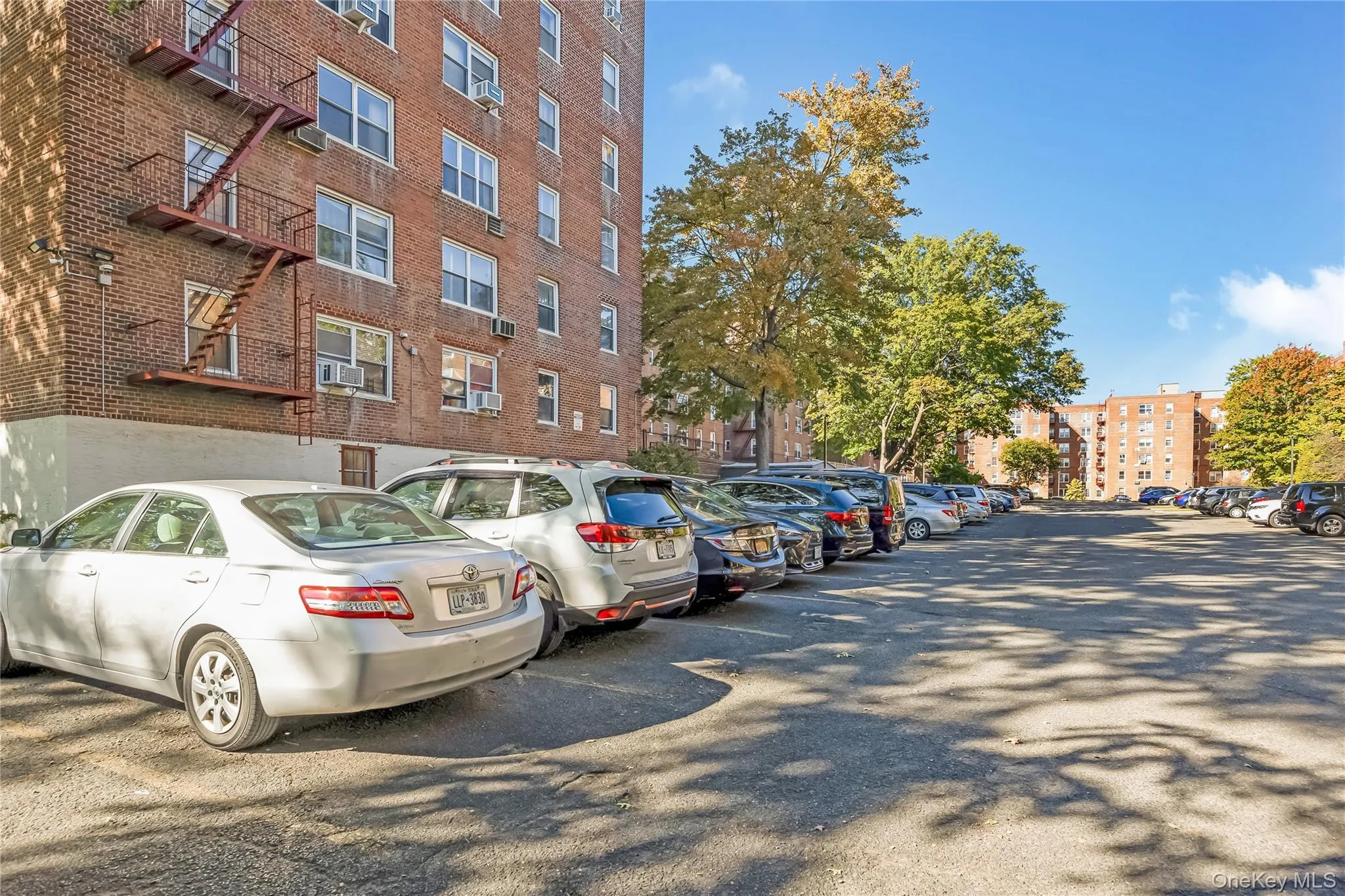 26-21 Union Street, New York, NY, 1 Bedroom Bedrooms, 3 Rooms Rooms,1 BathroomBathrooms,Residential,For Rent,Union,0,1053195 26-21 Union Street, New York, NY, 1 Bedroom Bedrooms, 3 Rooms Rooms,1 BathroomBathrooms,Residential,For Rent,Union,0,1053195