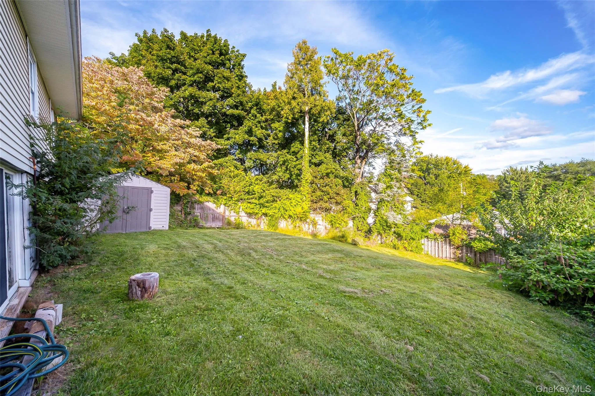 Expansive green lawn with mature trees and a detached storage shed Expansive green lawn with mature trees and a detached storage shed