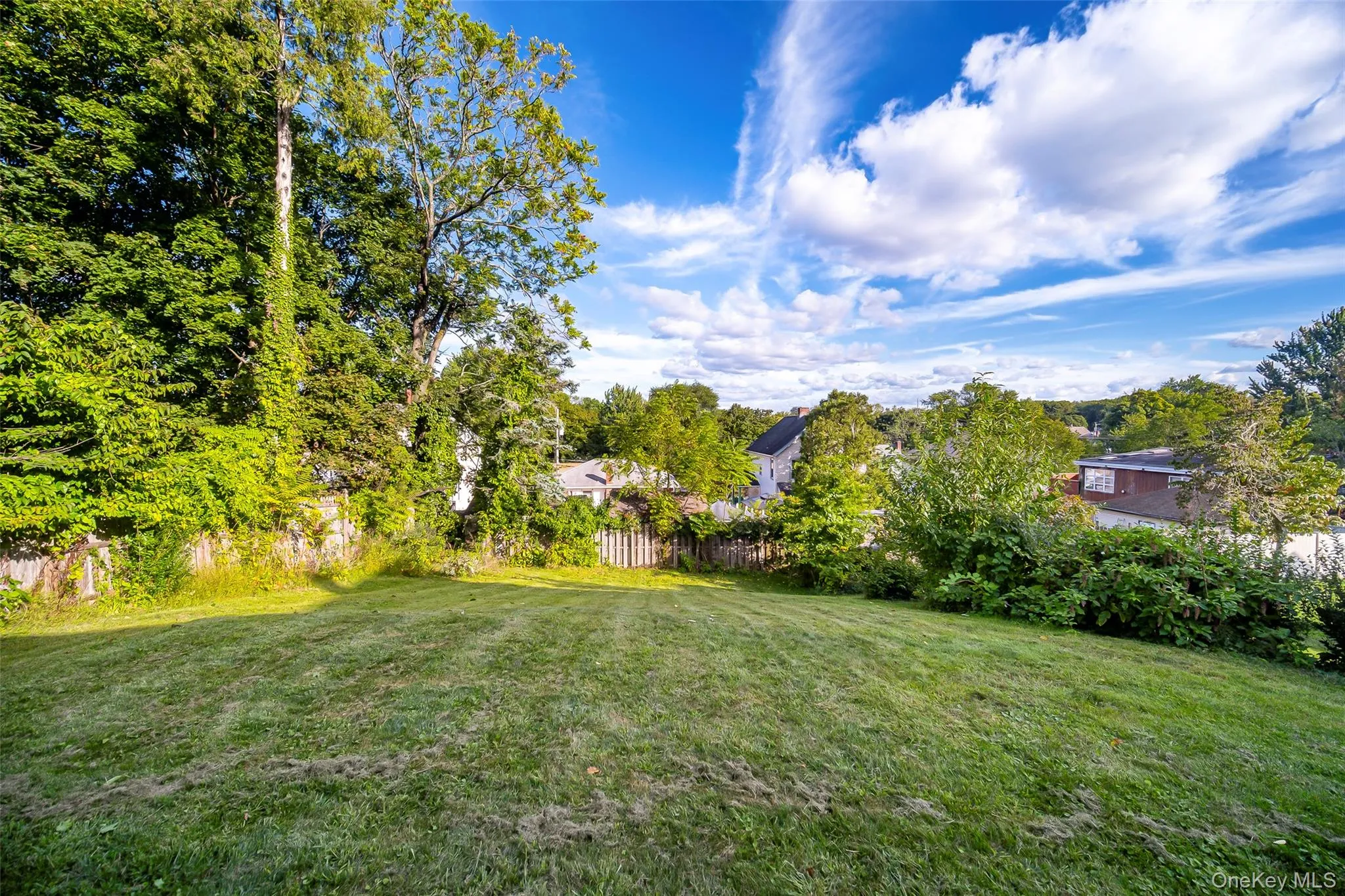 Expansive grassy backyard with mature perimeter trees and a wooden privacy fence Expansive grassy backyard with mature perimeter trees and a wooden privacy fence