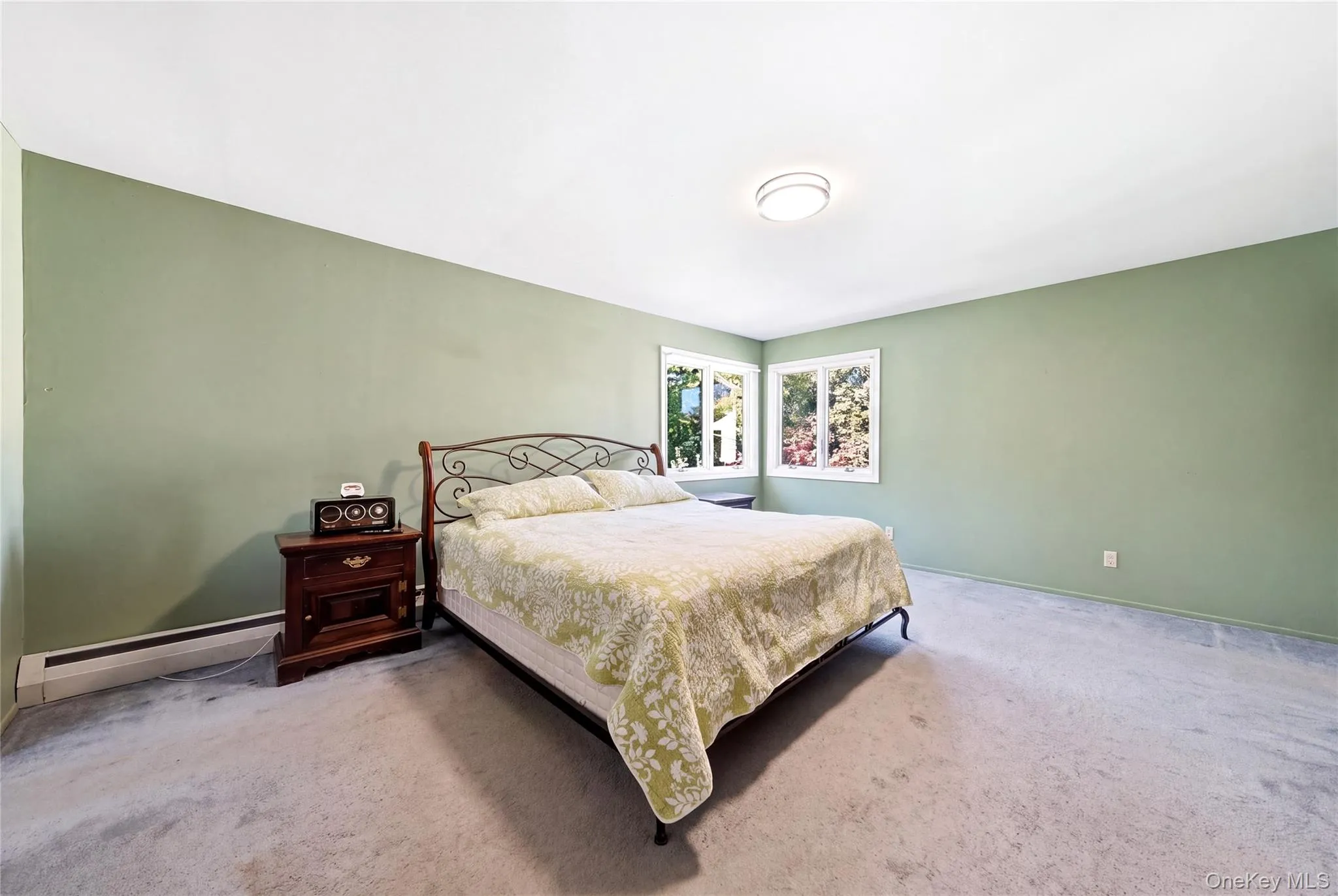 Large Primary Bedroom Large Primary Bedroom