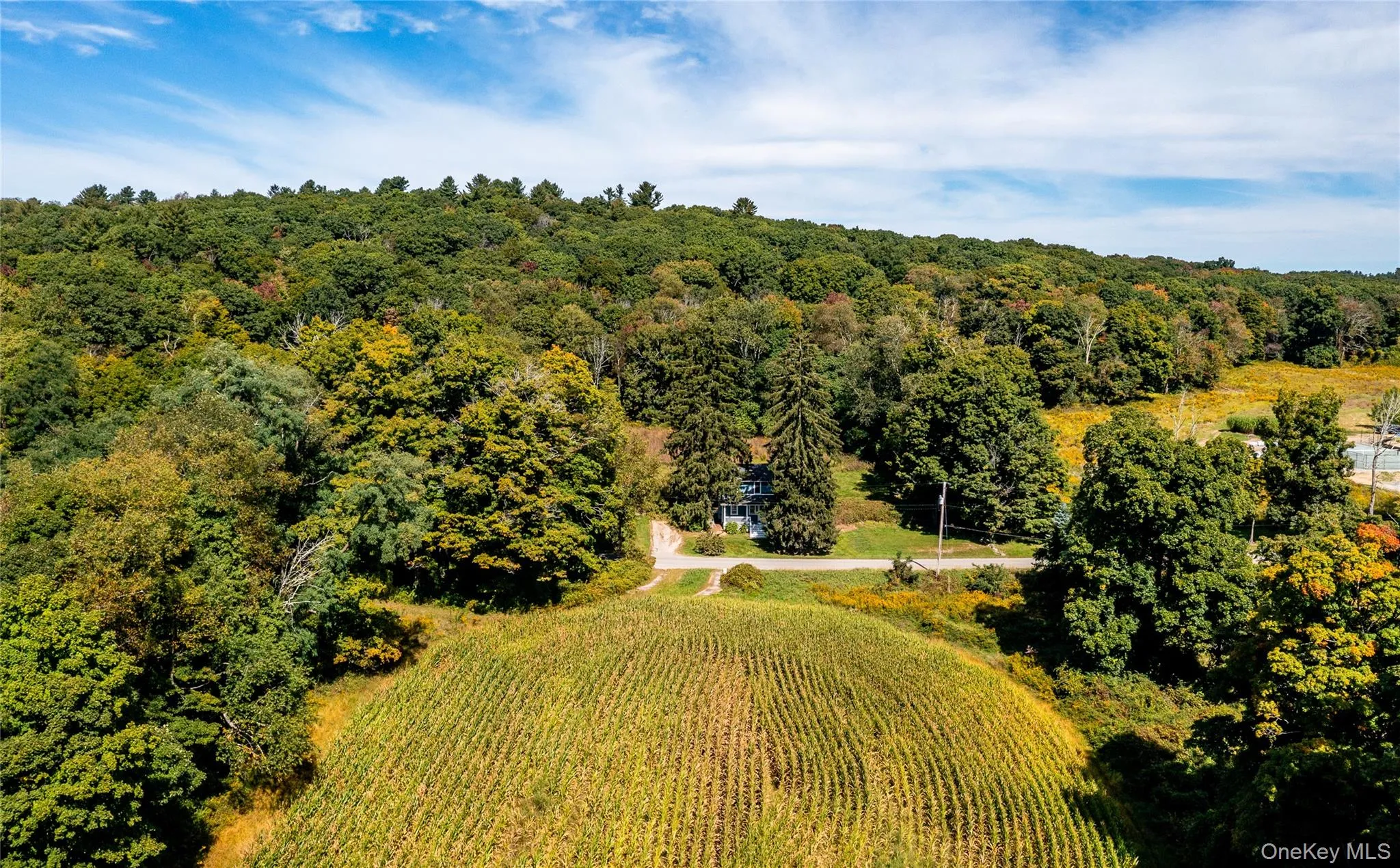 672 Tower Hill Road, Washington, NY, 2 Bedrooms Bedrooms, 5 Rooms Rooms,1 BathroomBathrooms,Residential,For Rent,Tower Hill,0,1053281 672 Tower Hill Road, Washington, NY, 2 Bedrooms Bedrooms, 5 Rooms Rooms,1 BathroomBathrooms,Residential,For Rent,Tower Hill,0,1053281