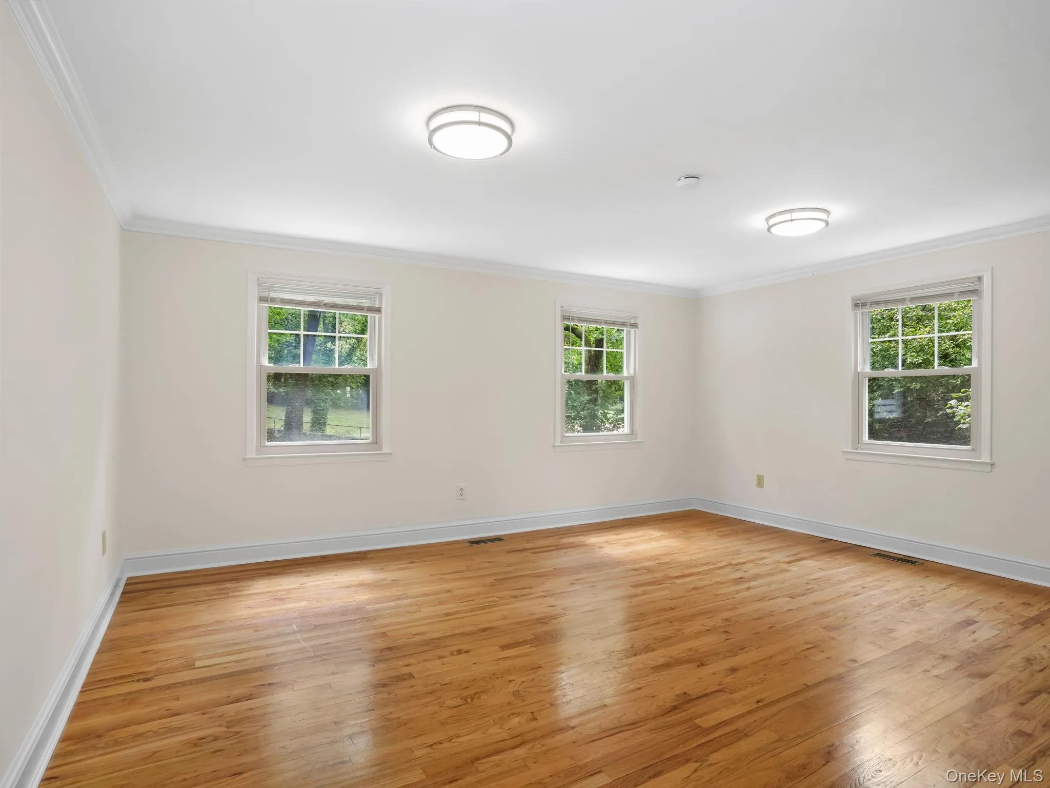 Spare room with light wood finished floors and ornamental molding Spare room with light wood finished floors and ornamental molding