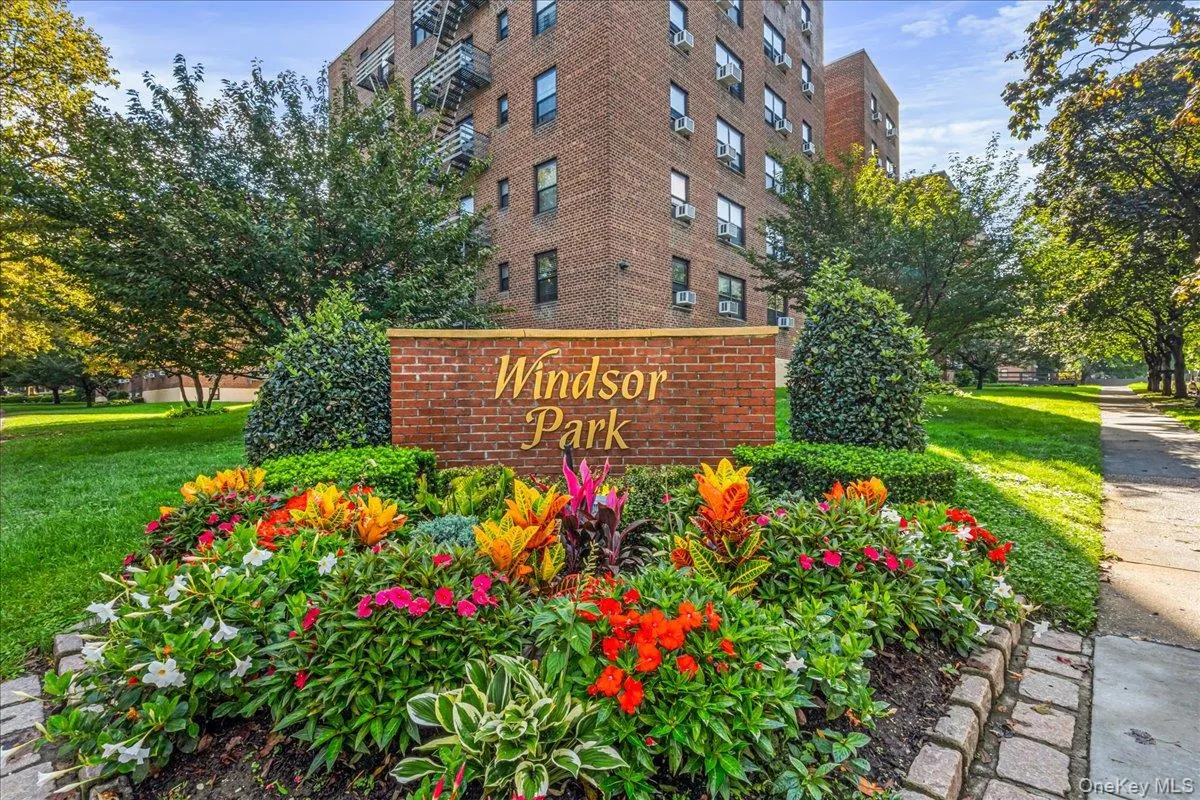 73-23 210th Street, New York, NY, 1 Bedroom Bedrooms, 3 Rooms Rooms,1 BathroomBathrooms,Residential,For Rent,210th,0,1053300 73-23 210th Street, New York, NY, 1 Bedroom Bedrooms, 3 Rooms Rooms,1 BathroomBathrooms,Residential,For Rent,210th,0,1053300