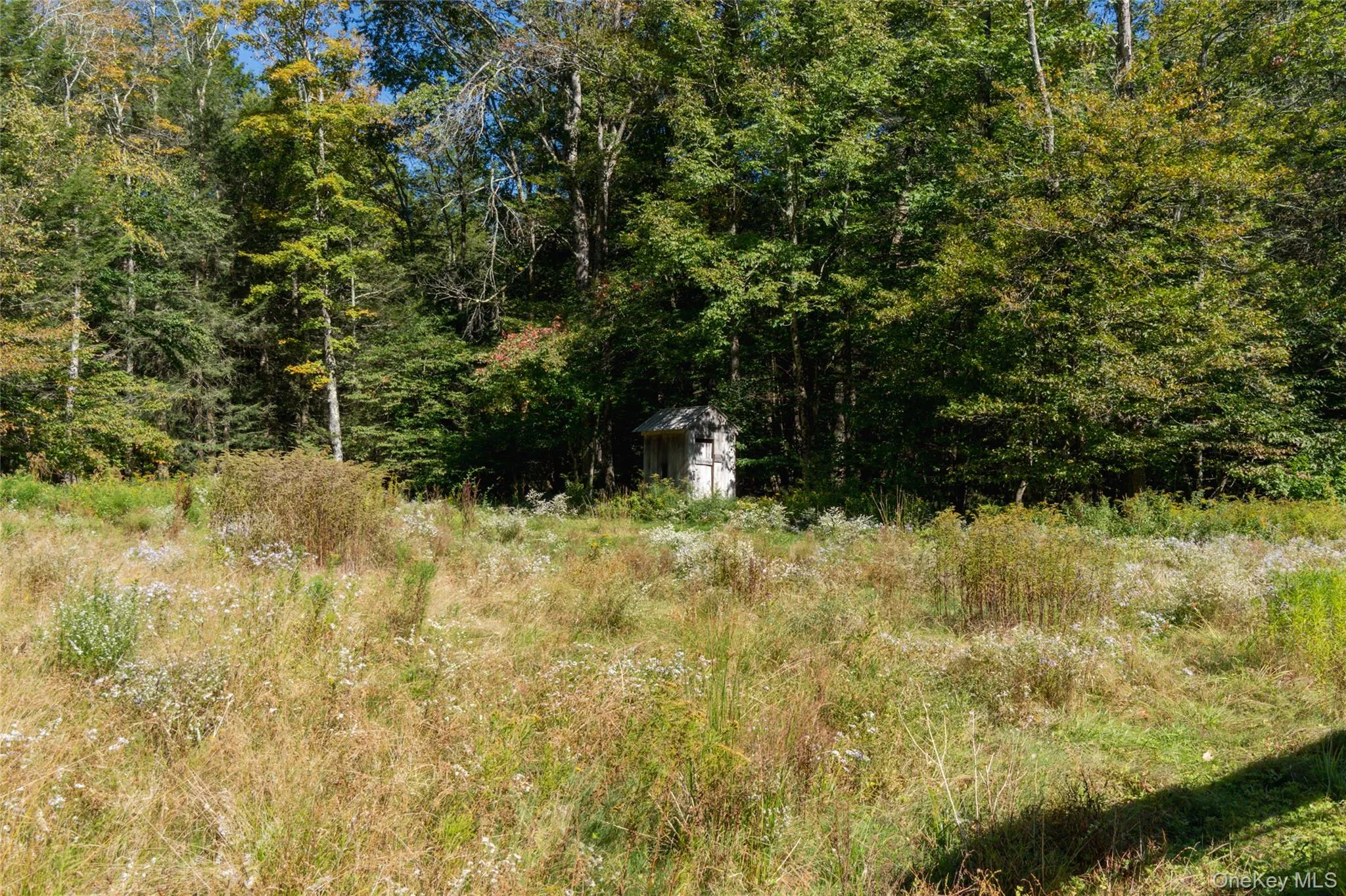 3 Parks Road, Liberty, NY, 2 Bedrooms Bedrooms, 6 Rooms Rooms,2 BathroomsBathrooms,Residential,For Rent,Parks,0,1053305 3 Parks Road, Liberty, NY, 2 Bedrooms Bedrooms, 6 Rooms Rooms,2 BathroomsBathrooms,Residential,For Rent,Parks,0,1053305