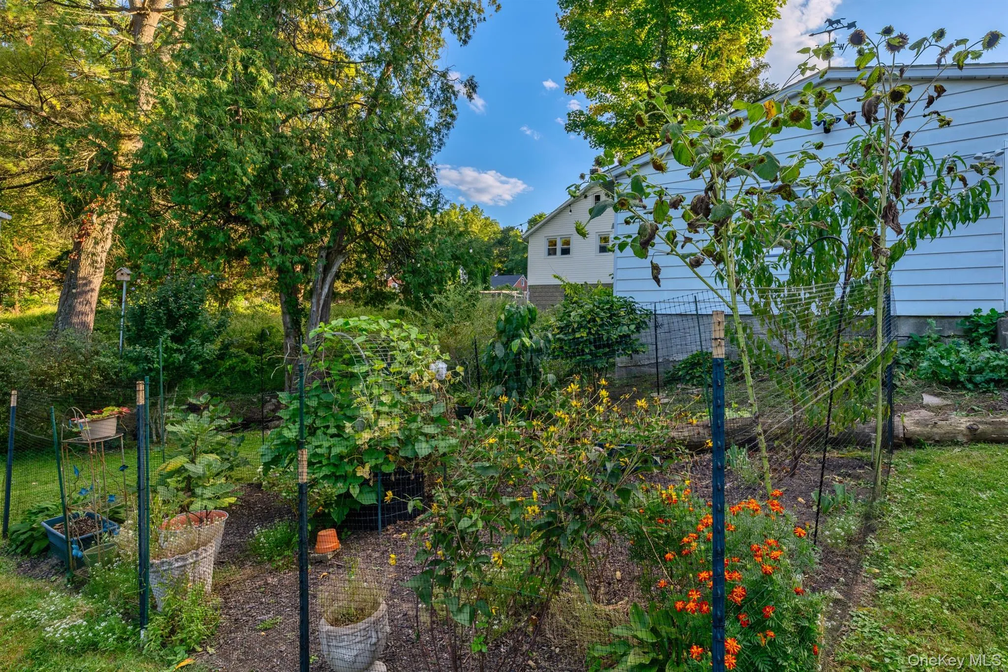 140 Linderman Avenue, Kingston, NY, 3 Bedrooms Bedrooms, 7 Rooms Rooms,1 BathroomBathrooms,Residential,For Rent,Linderman,0,1053327 140 Linderman Avenue, Kingston, NY, 3 Bedrooms Bedrooms, 7 Rooms Rooms,1 BathroomBathrooms,Residential,For Rent,Linderman,0,1053327