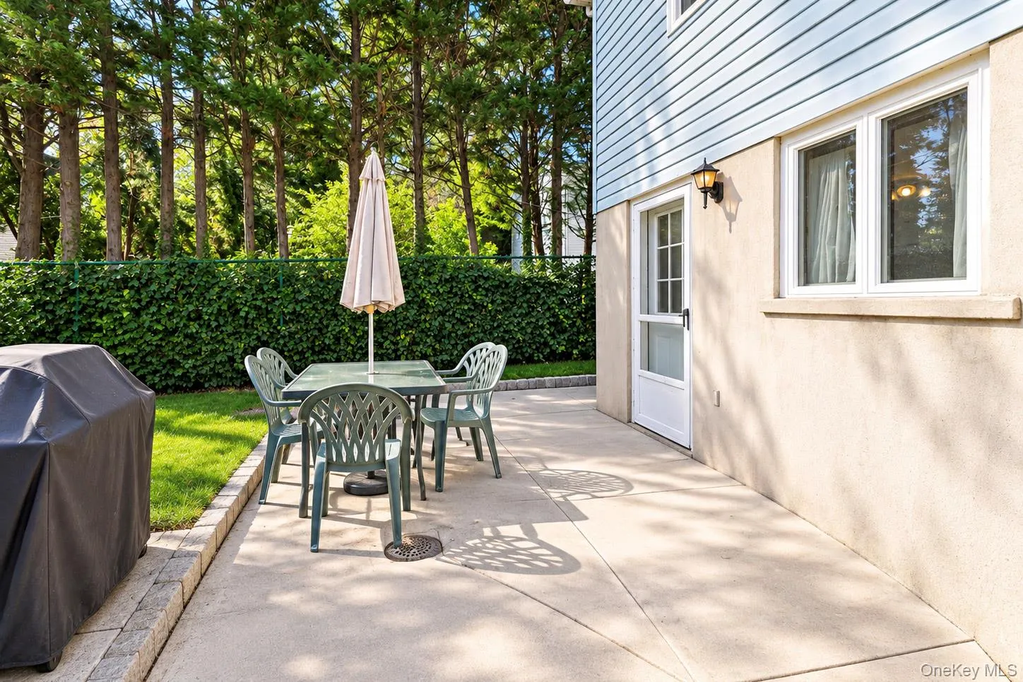 Expansive concrete patio with a privacy hedge, mature trees, and a garden entry door Expansive concrete patio with a privacy hedge, mature trees, and a garden entry door