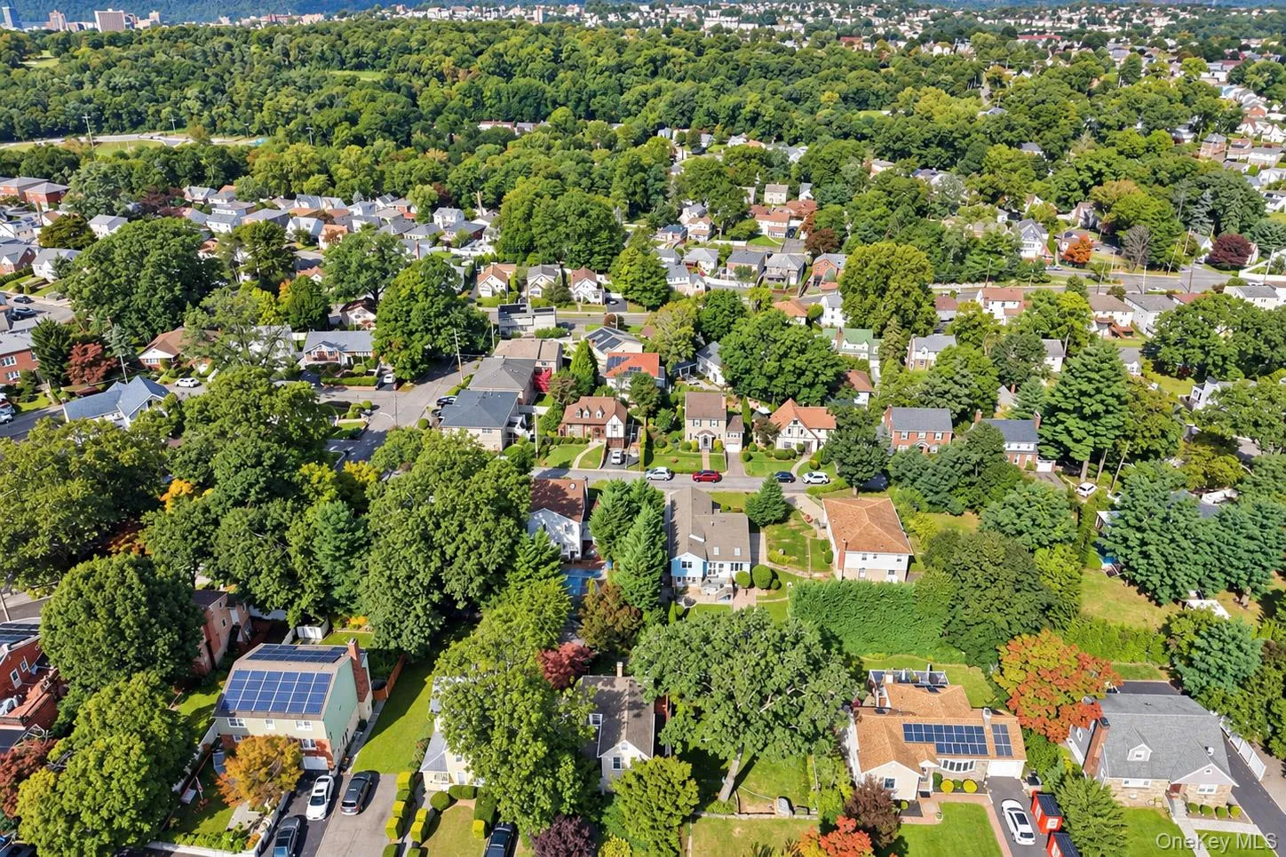 Expansive residential area with abundant mature trees and varied architectural styles Expansive residential area with abundant mature trees and varied architectural styles