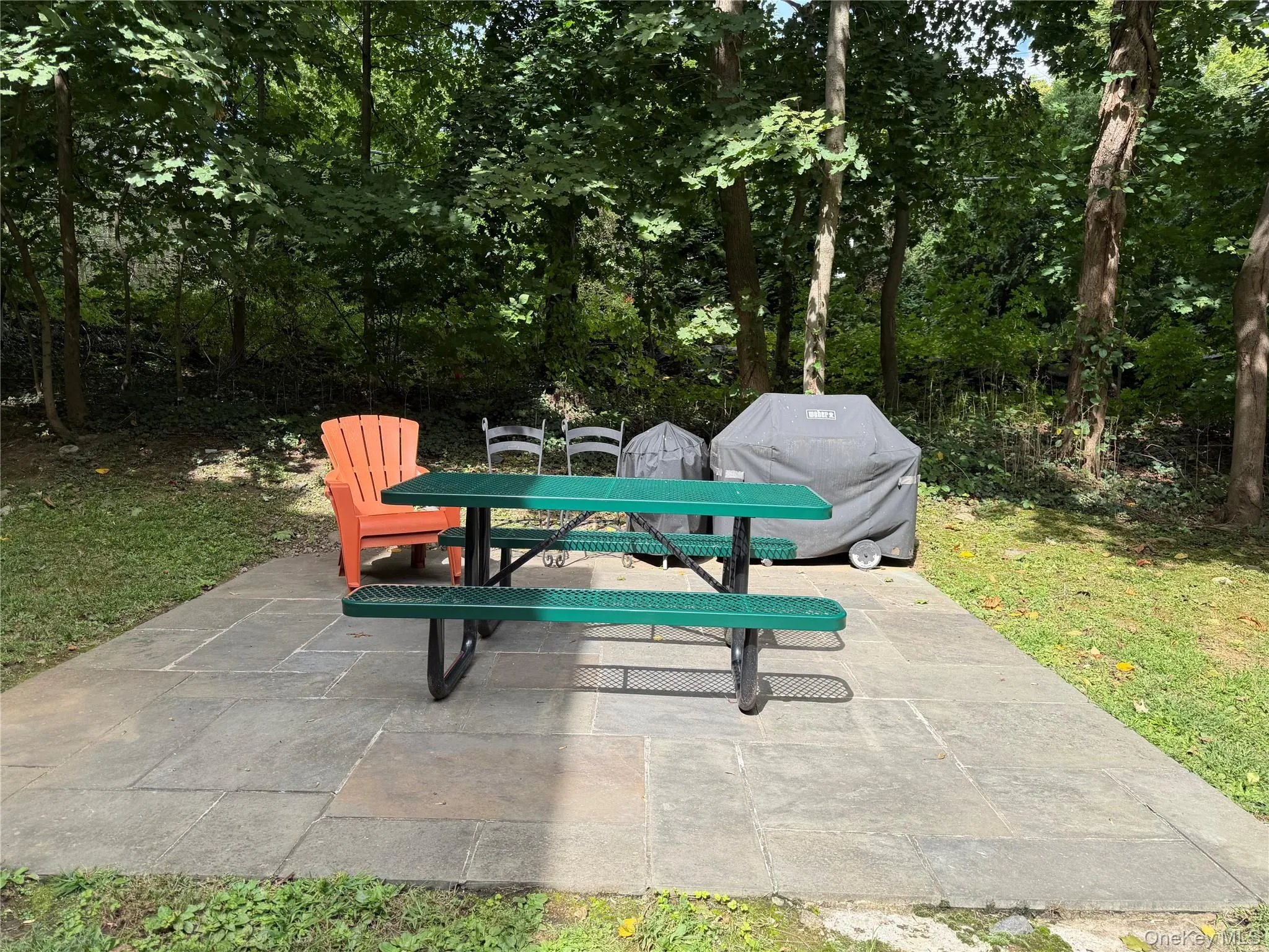 Patio area featuring picnic tables and surrounded by mature trees. Patio area featuring picnic tables and surrounded by mature trees.