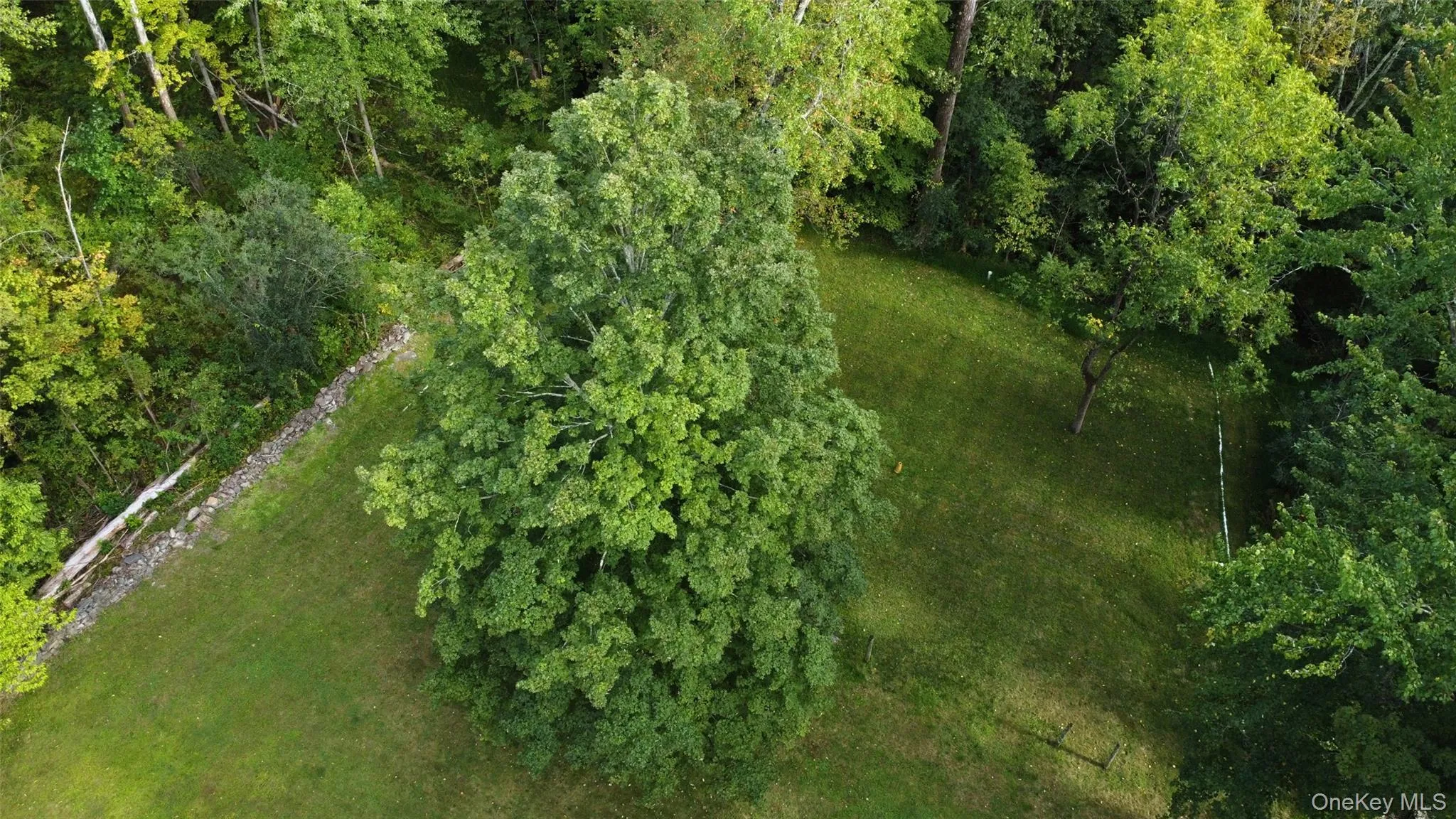 116 New Hackensack Road, Wappinger, NY, 3 Bedrooms Bedrooms, 7 Rooms Rooms,1 BathroomBathrooms,Residential Lease,For Rent,New Hackensack,0,1053419 116 New Hackensack Road, Wappinger, NY, 3 Bedrooms Bedrooms, 7 Rooms Rooms,1 BathroomBathrooms,Residential Lease,For Rent,New Hackensack,0,1053419