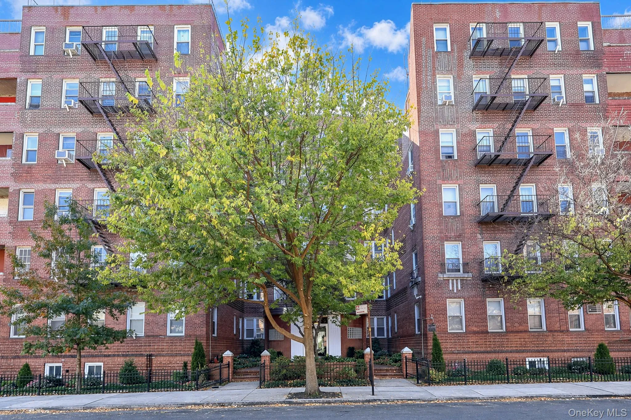 65-36 Wetherole Street, New York, NY, 2 Bedrooms Bedrooms, 4 Rooms Rooms,1 BathroomBathrooms,Residential,For Rent,Wetherole,0,1053426 65-36 Wetherole Street, New York, NY, 2 Bedrooms Bedrooms, 4 Rooms Rooms,1 BathroomBathrooms,Residential,For Rent,Wetherole,0,1053426