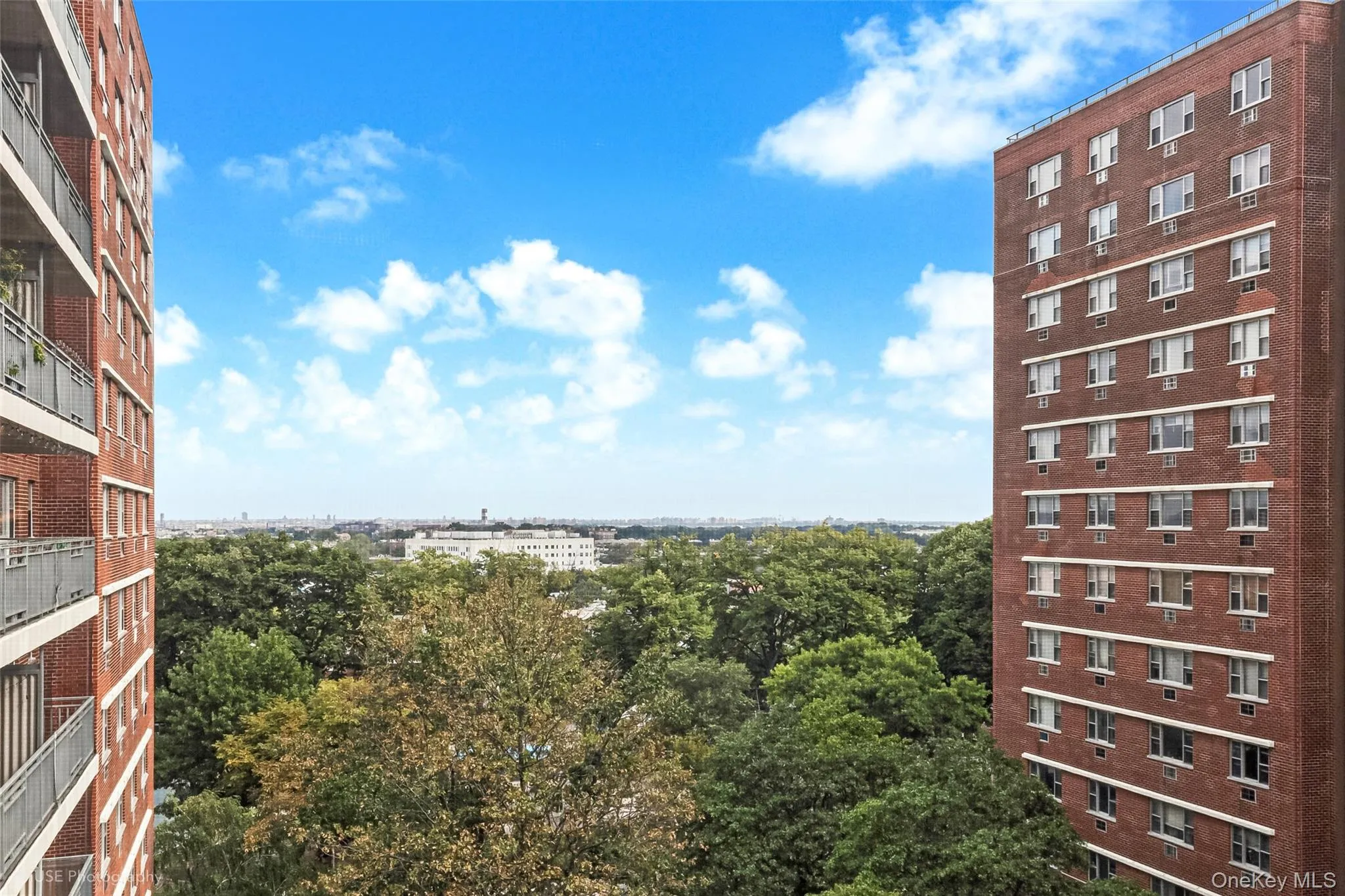 52-30 39th Drive, New York, NY, 2 Bedrooms Bedrooms, 4 Rooms Rooms,1 BathroomBathrooms,Residential,For Rent,39th,0,1053442 52-30 39th Drive, New York, NY, 2 Bedrooms Bedrooms, 4 Rooms Rooms,1 BathroomBathrooms,Residential,For Rent,39th,0,1053442
