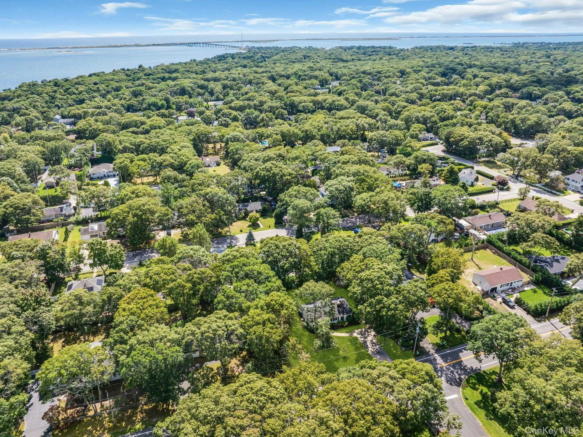 Aerial perspective showcasing a dense tree canopy, residential properties, and distant water Aerial perspective showcasing a dense tree canopy, residential properties, and distant water