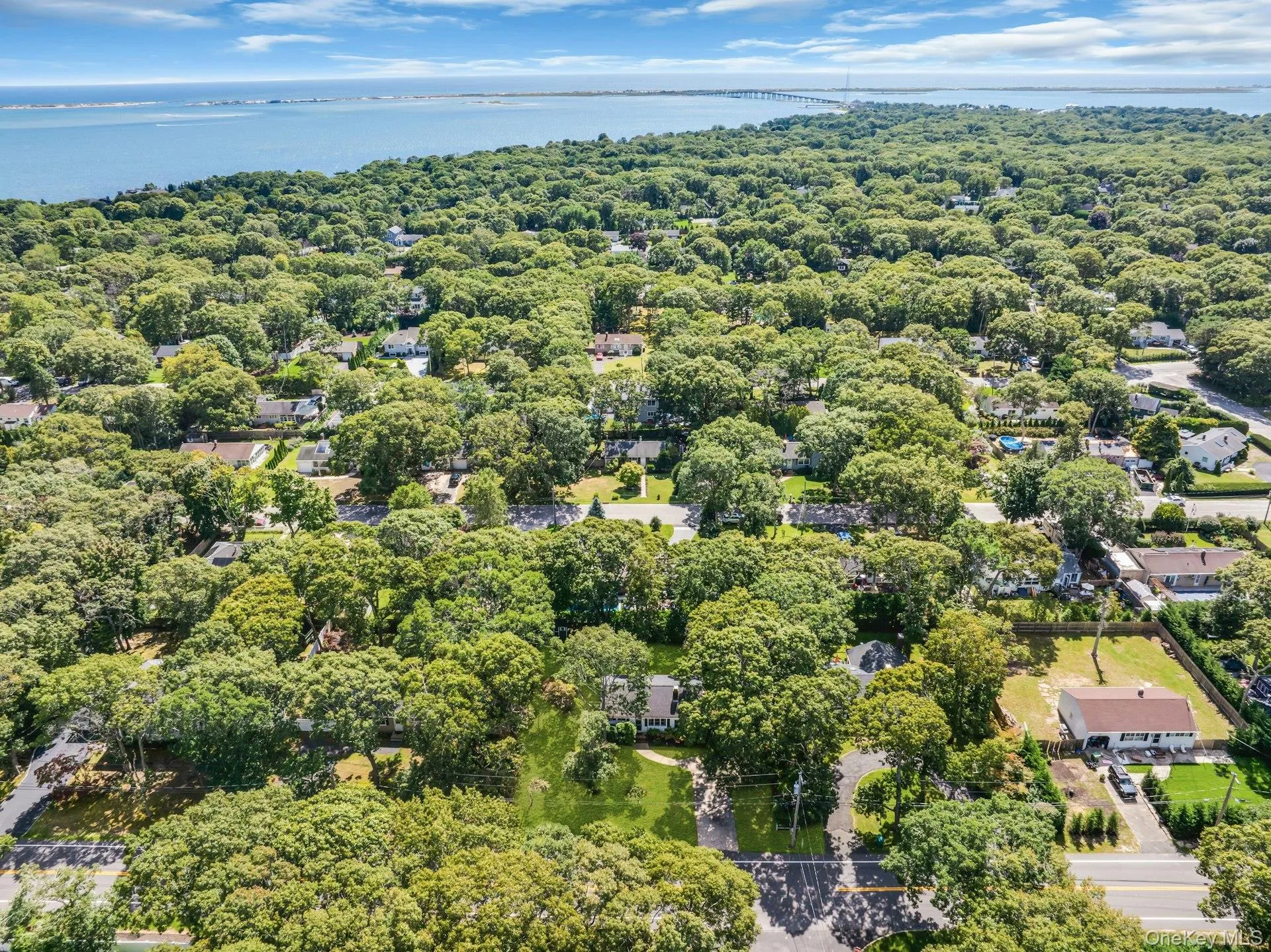 Expansive tree canopy surrounding residential properties, with distant water visible and a bridge structure spanning the horizon Expansive tree canopy surrounding residential properties, with distant water visible and a bridge structure spanning the horizon
