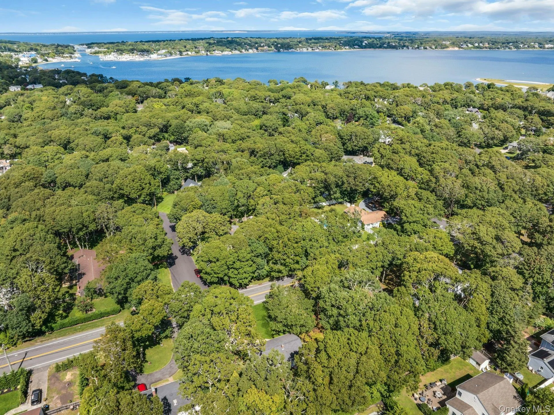 Expansive natural landscape with dense tree coverage, bordered by a body of water with distant shorelines Expansive natural landscape with dense tree coverage, bordered by a body of water with distant shorelines