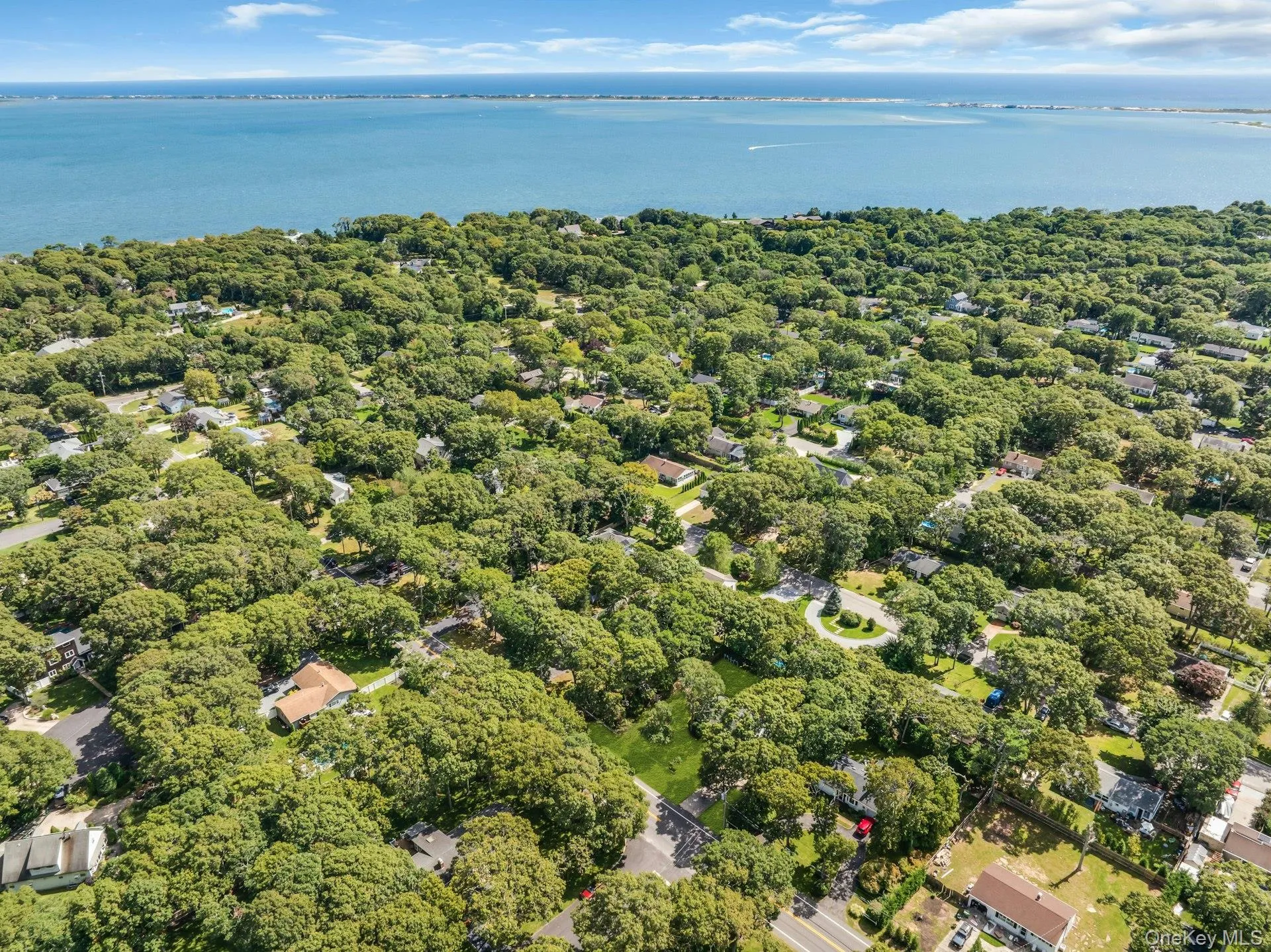 Expansive waterscape, lush tree canopy, residential buildings, and curvilinear street patterns Expansive waterscape, lush tree canopy, residential buildings, and curvilinear street patterns