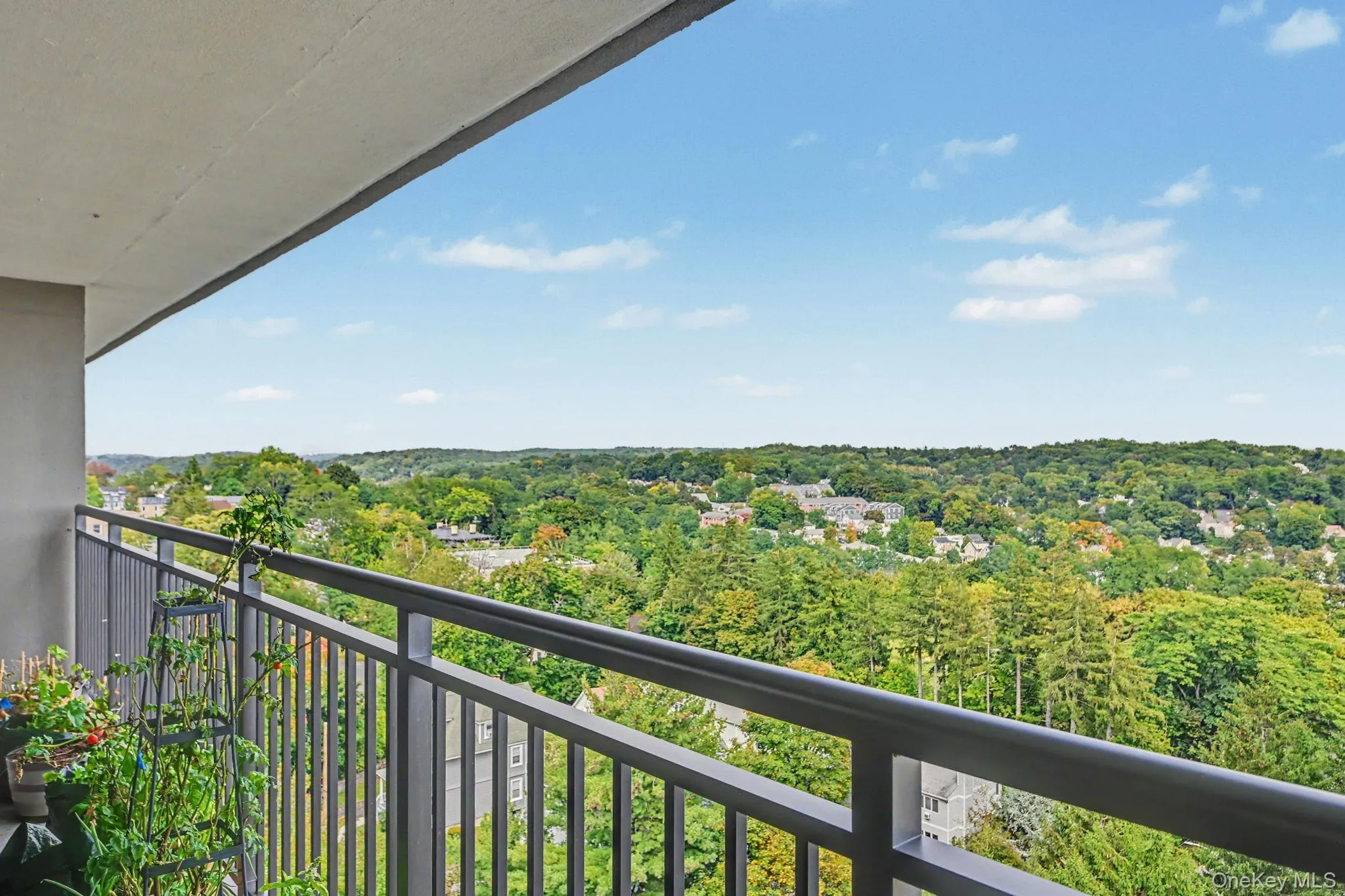 15 Stewart Place, White Plains, NY, 2 Bedrooms Bedrooms, ,2 BathroomsBathrooms,Residential,For Rent,Stewart,0,1053475 15 Stewart Place, White Plains, NY, 2 Bedrooms Bedrooms, ,2 BathroomsBathrooms,Residential,For Rent,Stewart,0,1053475