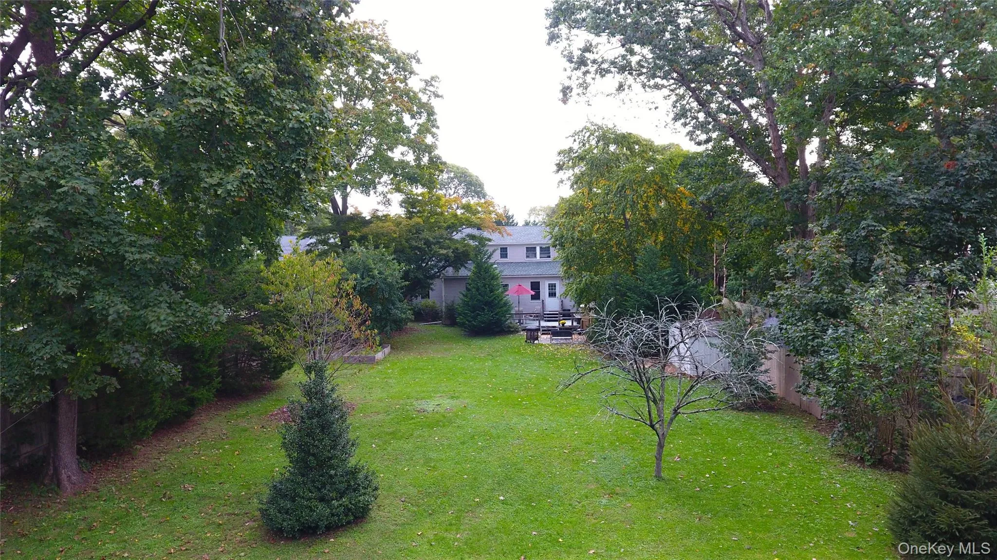 Aerial View of the back yard Aerial View of the back yard