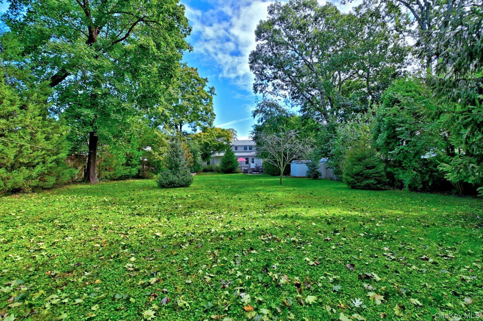 Spacious and Open Yard Spacious and Open Yard