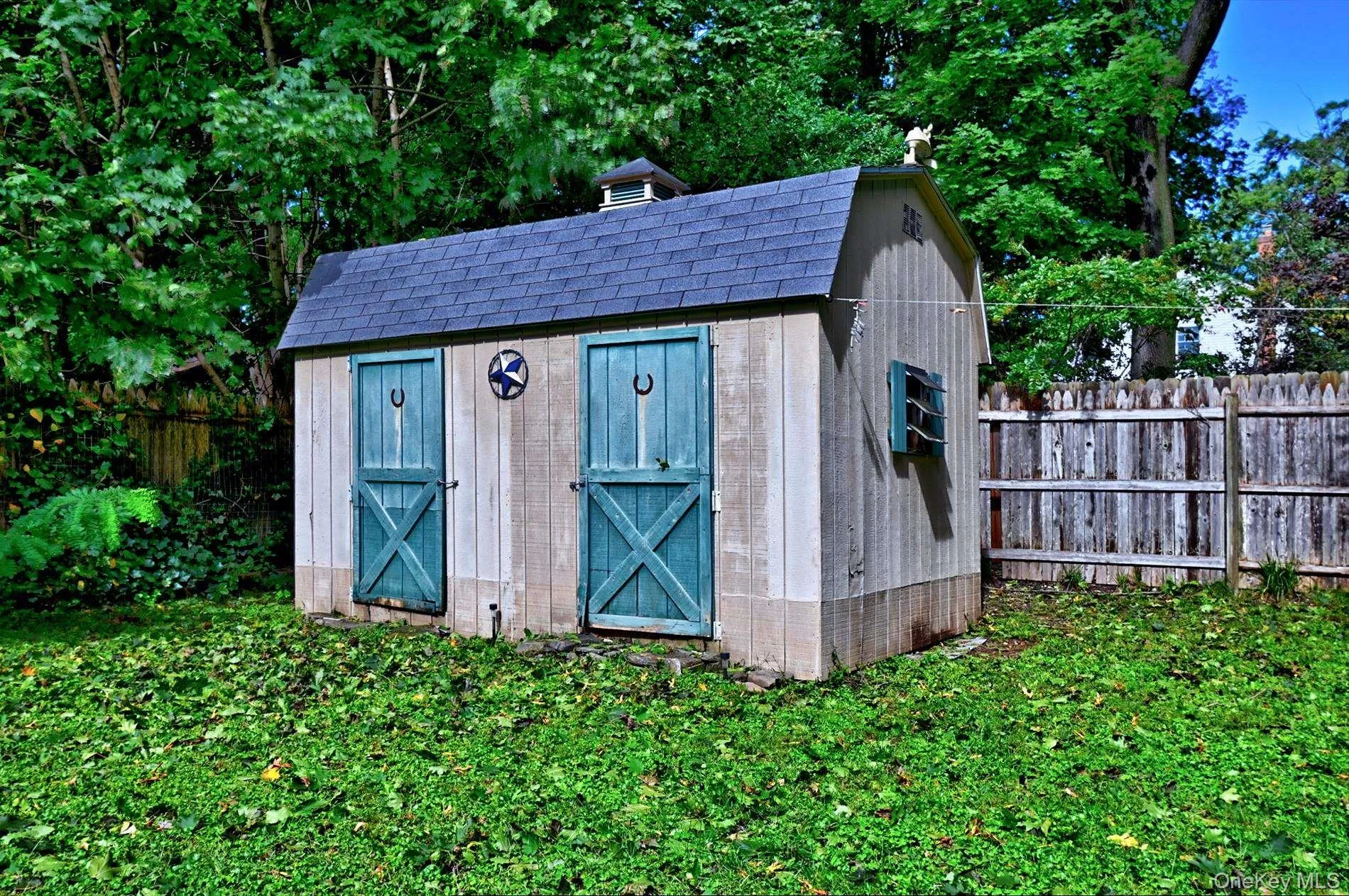 Shed Shed