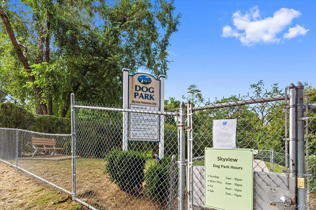 Dog Park Dog Park