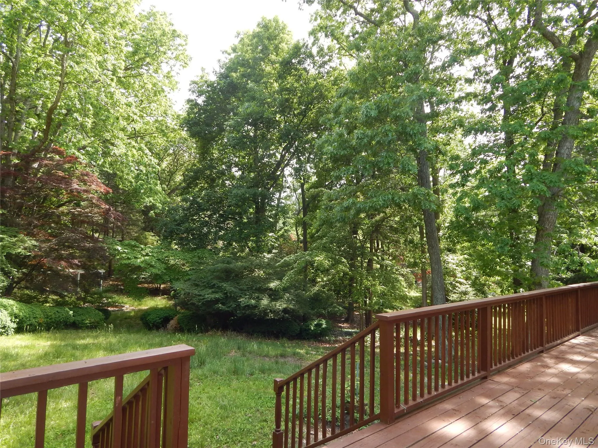 Deck off Dining Room Deck off Dining Room