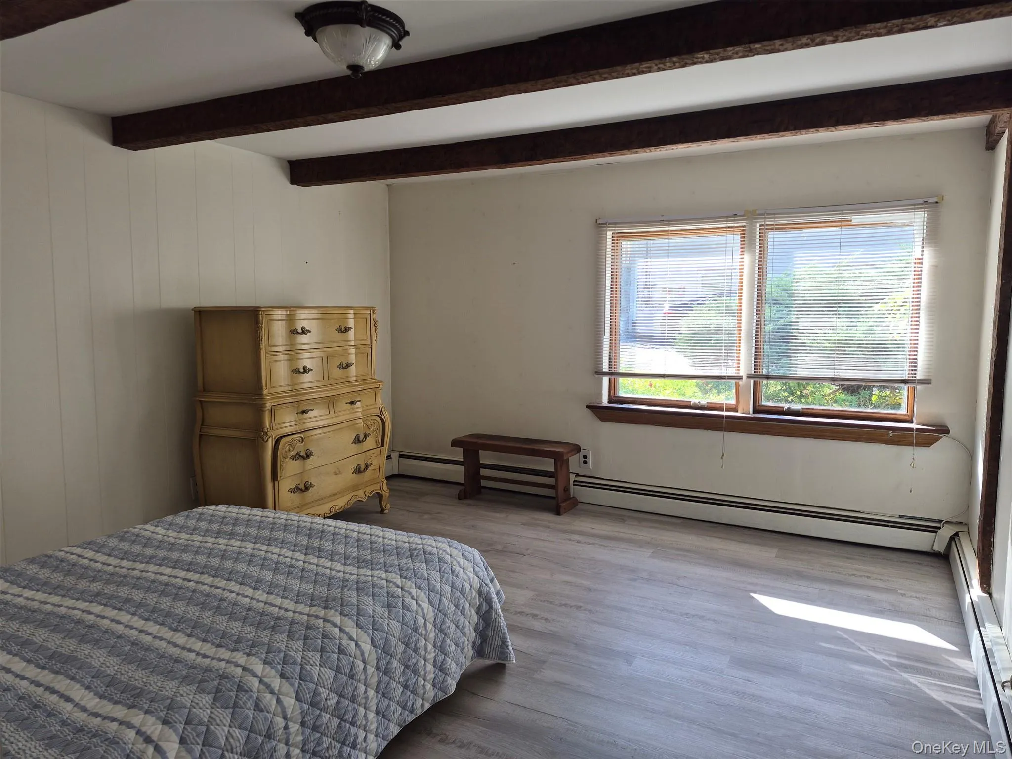 Lower level "Bonus Room" Lower level "Bonus Room"