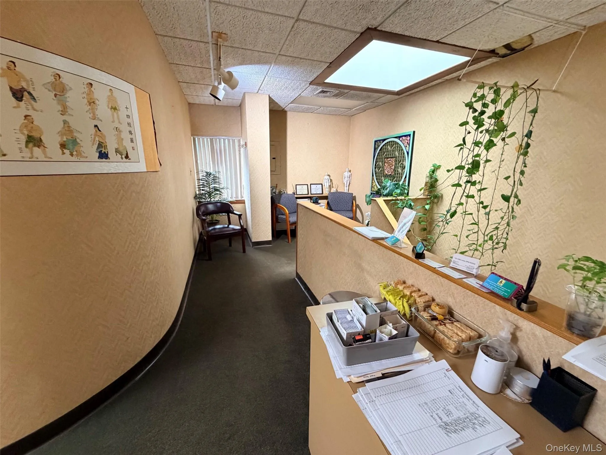 2 Hillside Avenue, North Hempstead, NY, ,Commercial Lease,For Rent,Hillside,0,1053553 2 Hillside Avenue, North Hempstead, NY, ,Commercial Lease,For Rent,Hillside,0,1053553