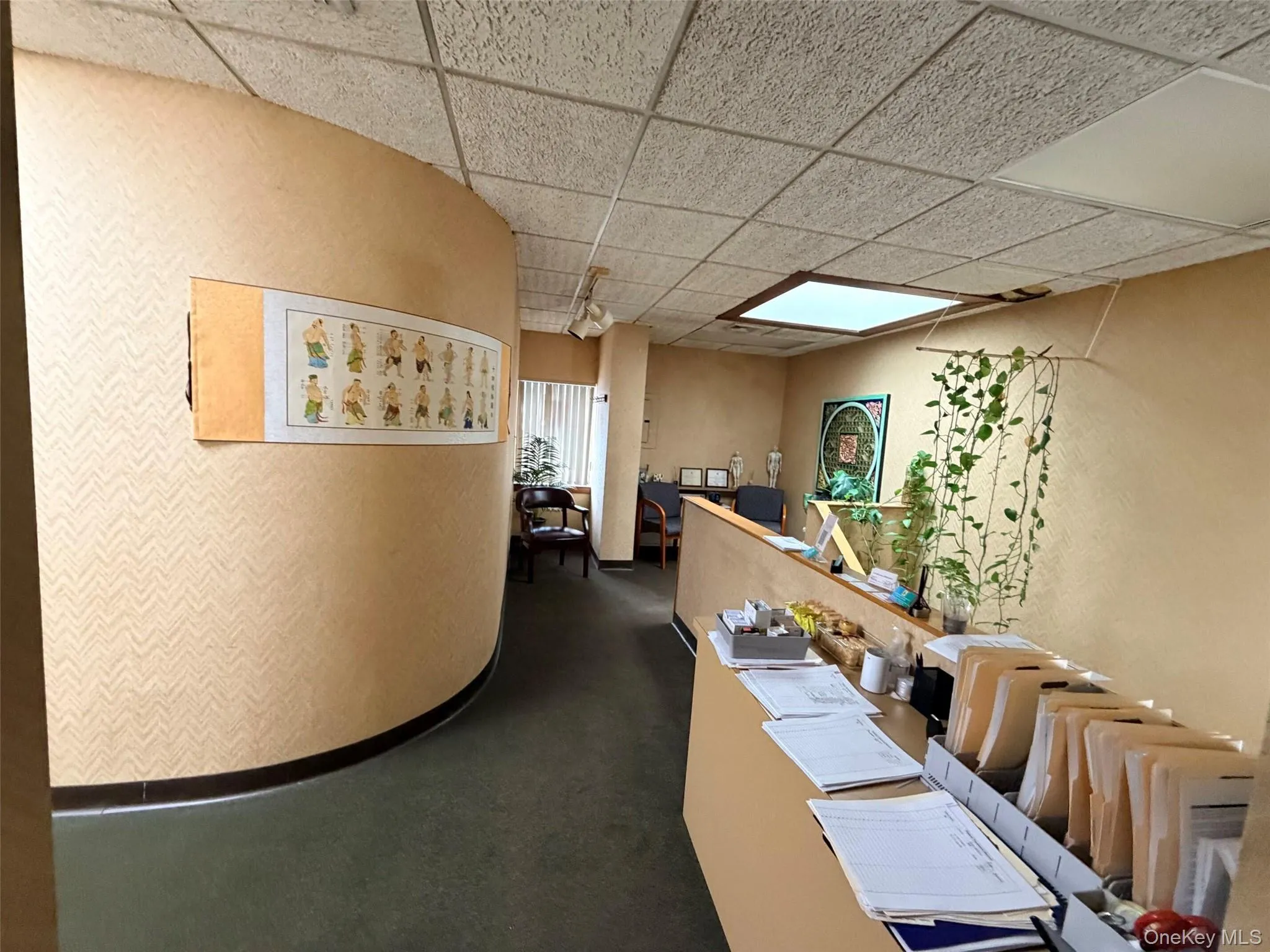 2 Hillside Avenue, North Hempstead, NY, ,Commercial Lease,For Rent,Hillside,0,1053553 2 Hillside Avenue, North Hempstead, NY, ,Commercial Lease,For Rent,Hillside,0,1053553