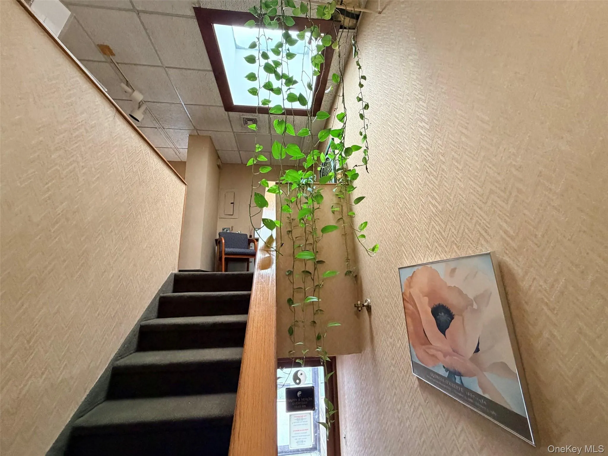 2 Hillside Avenue, North Hempstead, NY, ,Commercial Lease,For Rent,Hillside,0,1053553 2 Hillside Avenue, North Hempstead, NY, ,Commercial Lease,For Rent,Hillside,0,1053553