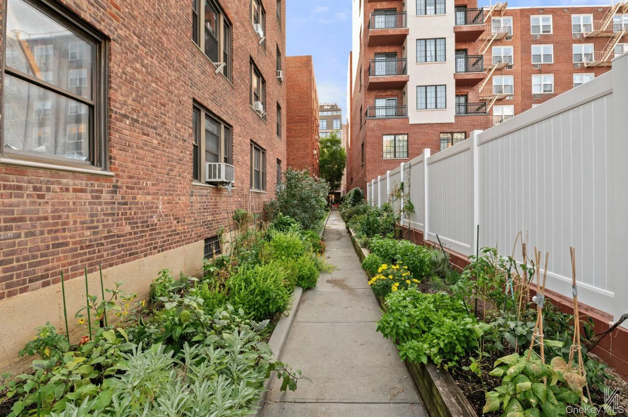 25-40 31st Avenue, New York, NY, 3 Rooms Rooms,1 BathroomBathrooms,Residential,For Rent,31st,0,1053560 25-40 31st Avenue, New York, NY, 3 Rooms Rooms,1 BathroomBathrooms,Residential,For Rent,31st,0,1053560